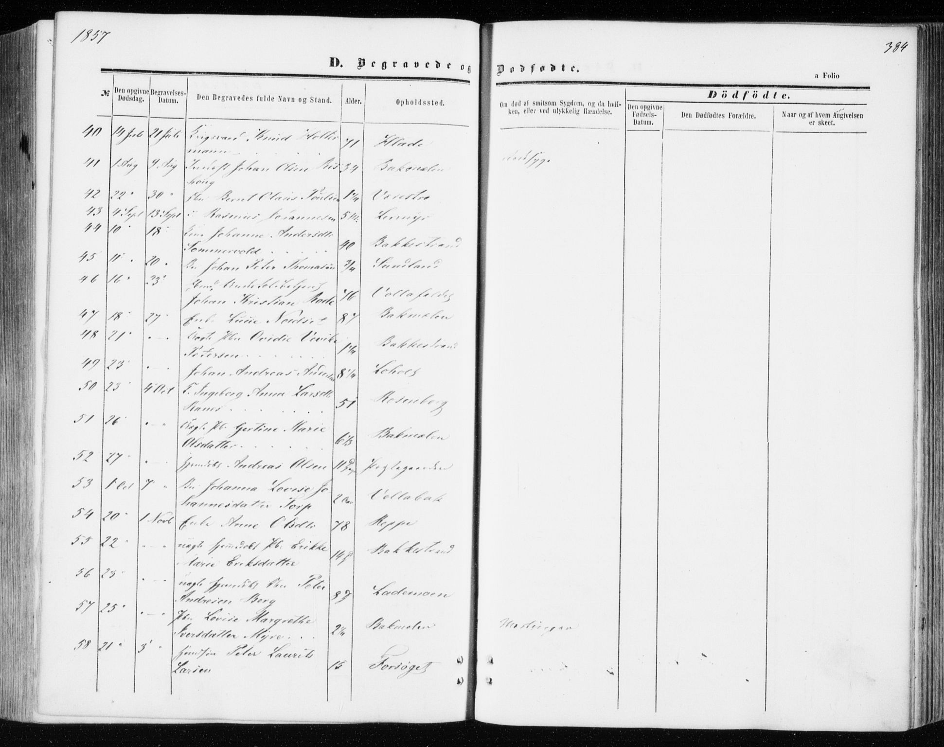 Ministerialprotokoller, klokkerbøker og fødselsregistre - Sør-Trøndelag, AV/SAT-A-1456/606/L0292: Parish register (official) no. 606A07, 1856-1865, p. 384