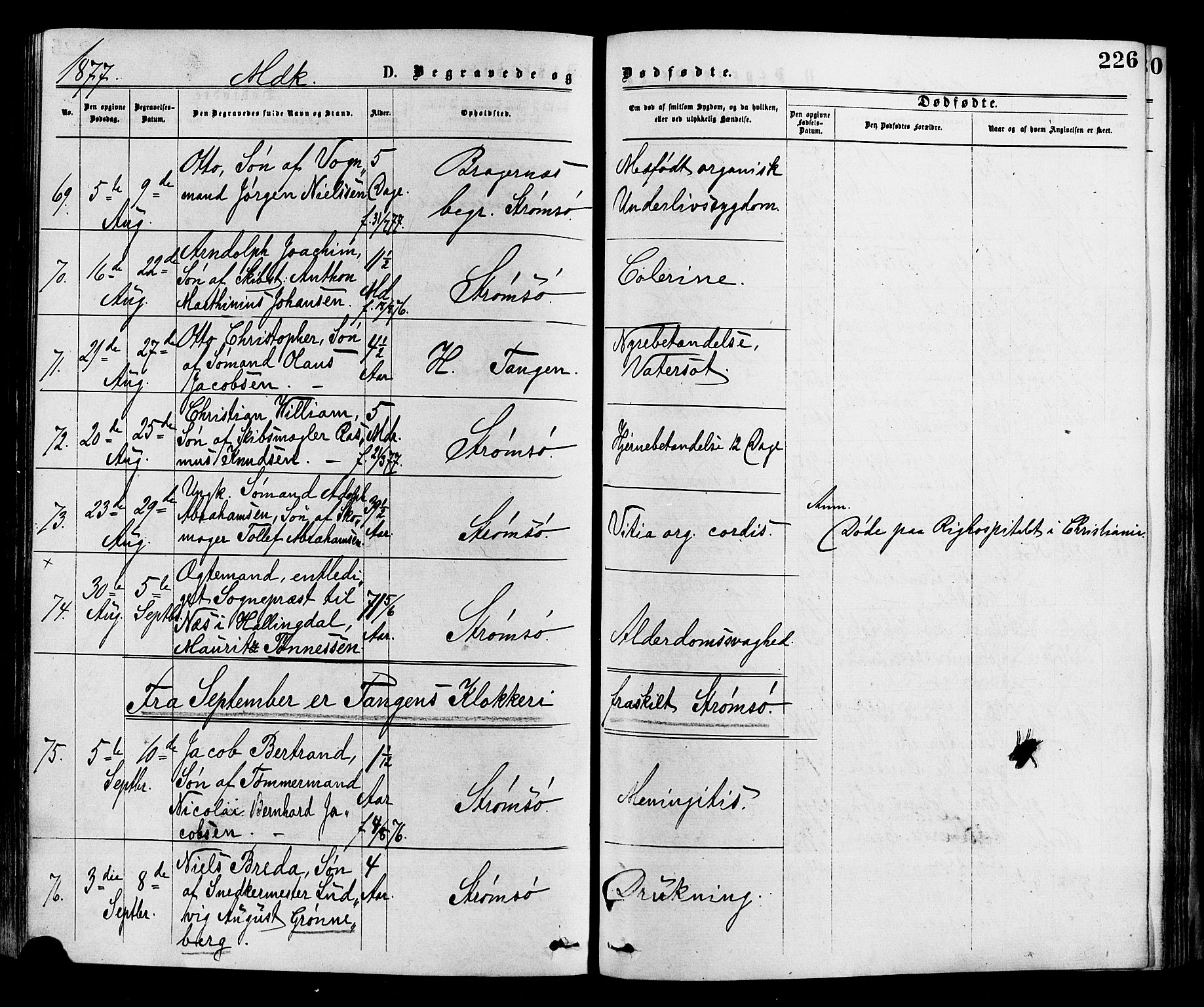 Strømsø kirkebøker, SAKO/A-246/F/Fa/L0019: Parish register (official) no. I 19, 1874-1877, p. 226