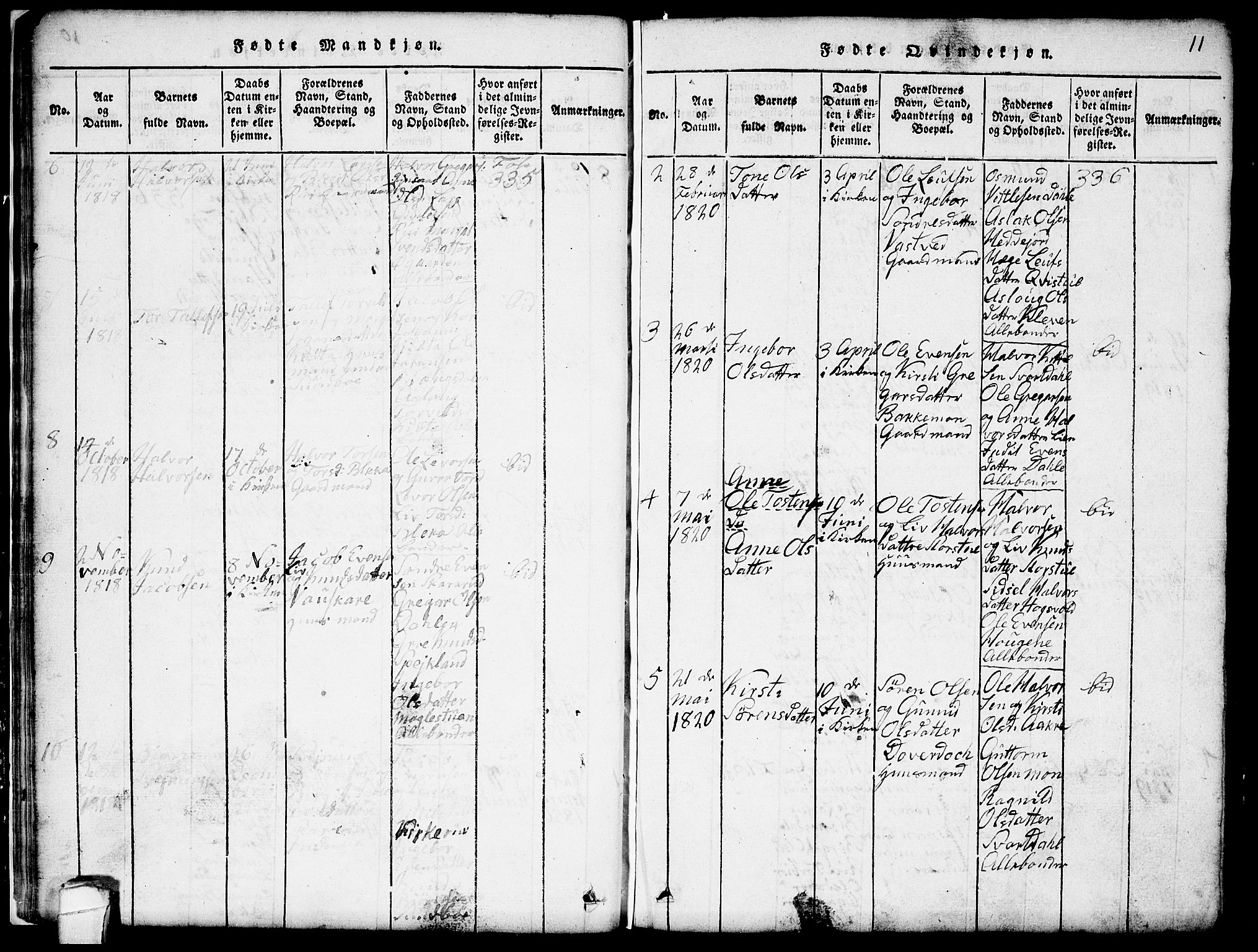 Seljord kirkebøker, SAKO/A-20/G/Gb/L0002: Parish register (copy) no. II 2, 1815-1854, p. 11