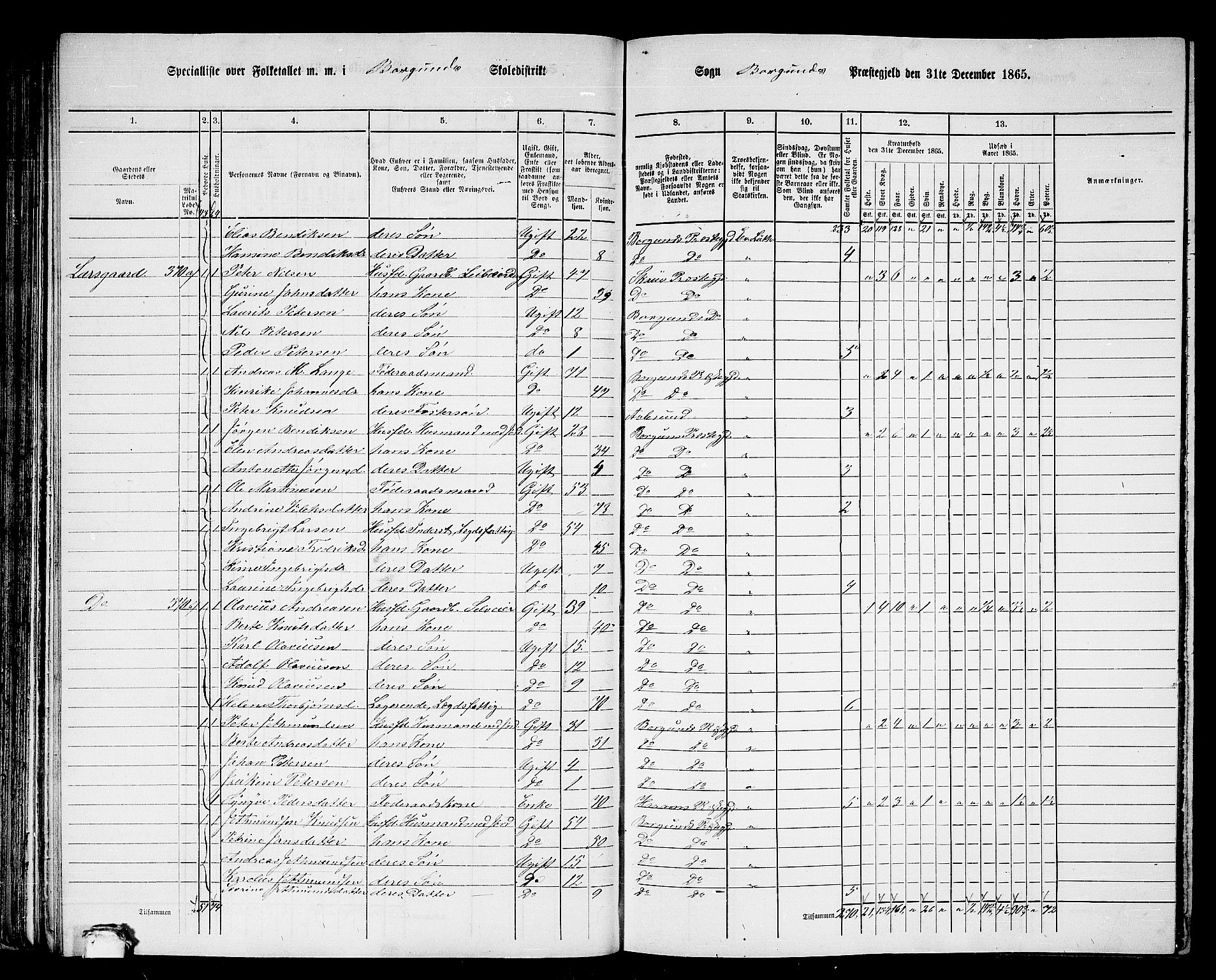 RA, 1865 census for Borgund, 1865, p. 80