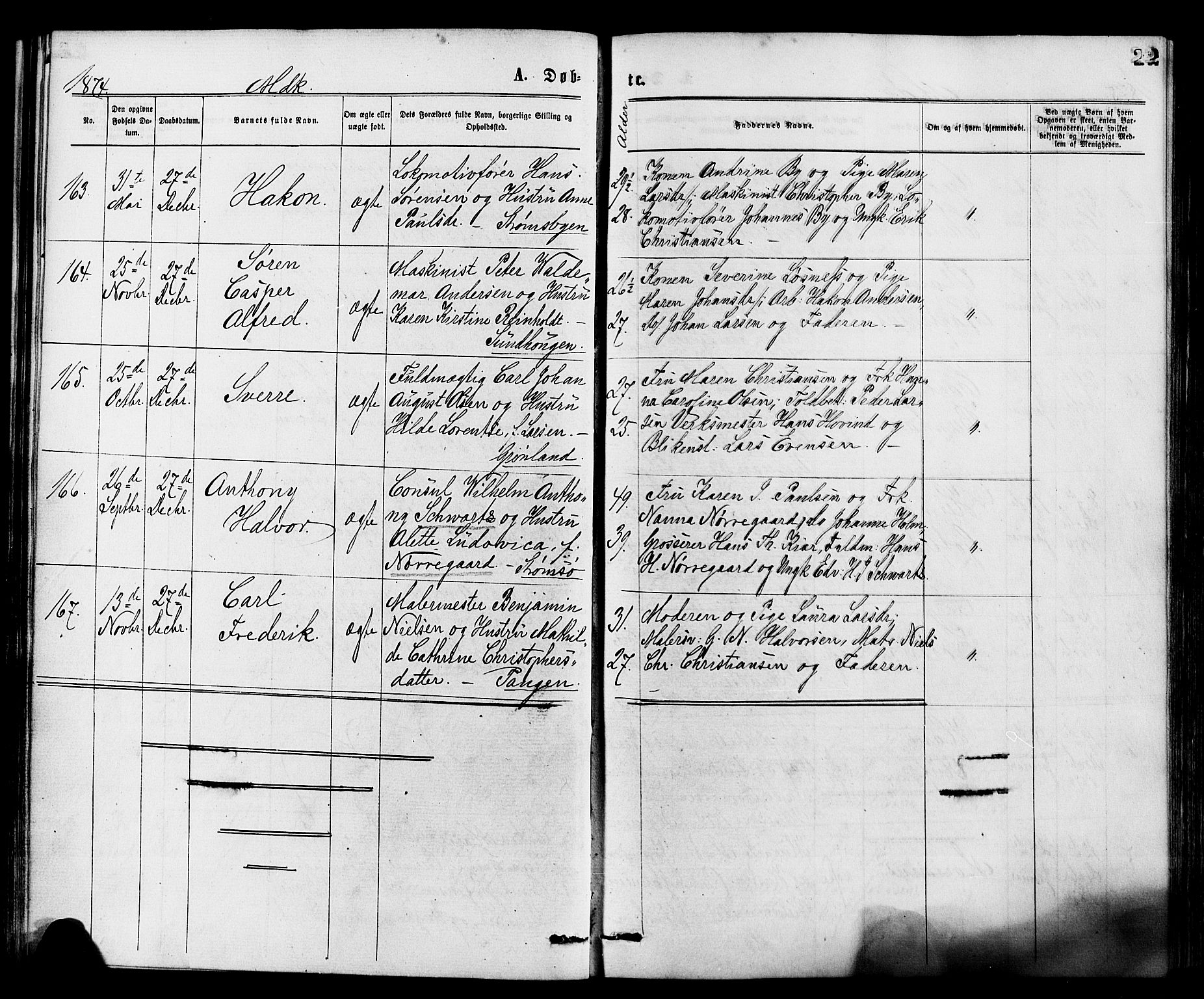 Strømsø kirkebøker, AV/SAKO-A-246/F/Fa/L0019: Parish register (official) no. I 19, 1874-1877, p. 22