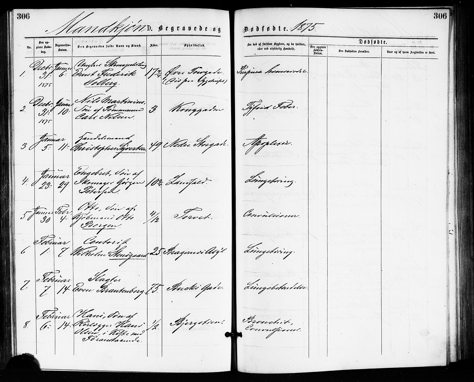 Bragernes kirkebøker, AV/SAKO-A-6/F/Fb/L0005: Parish register (official) no. II 5, 1875-1877, p. 306