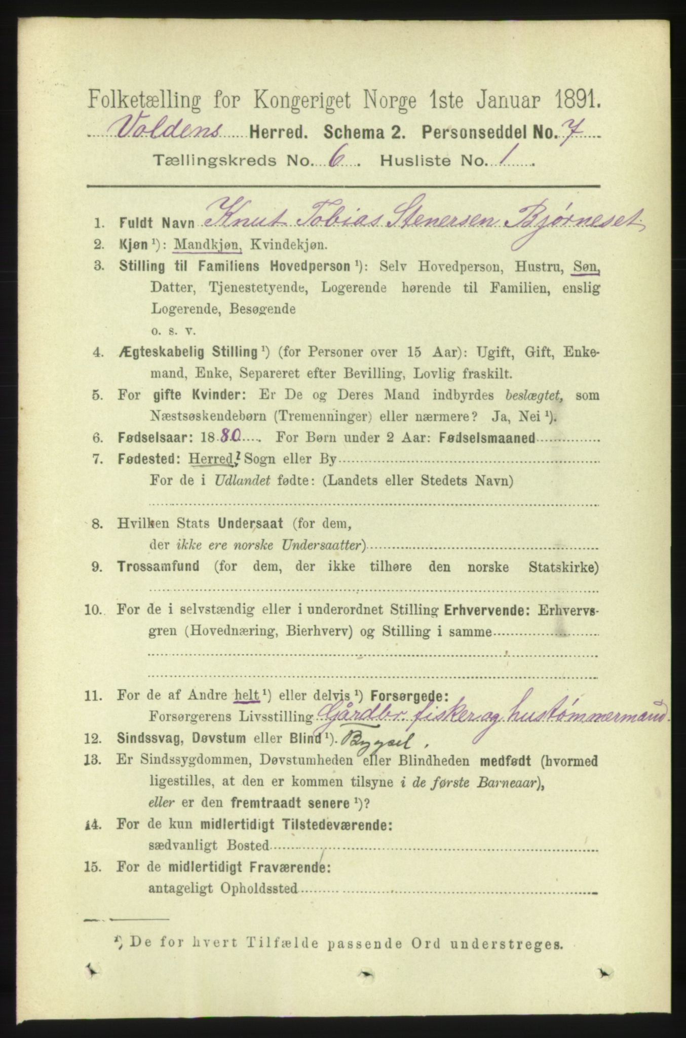 RA, 1891 census for 1519 Volda, 1891, p. 2869