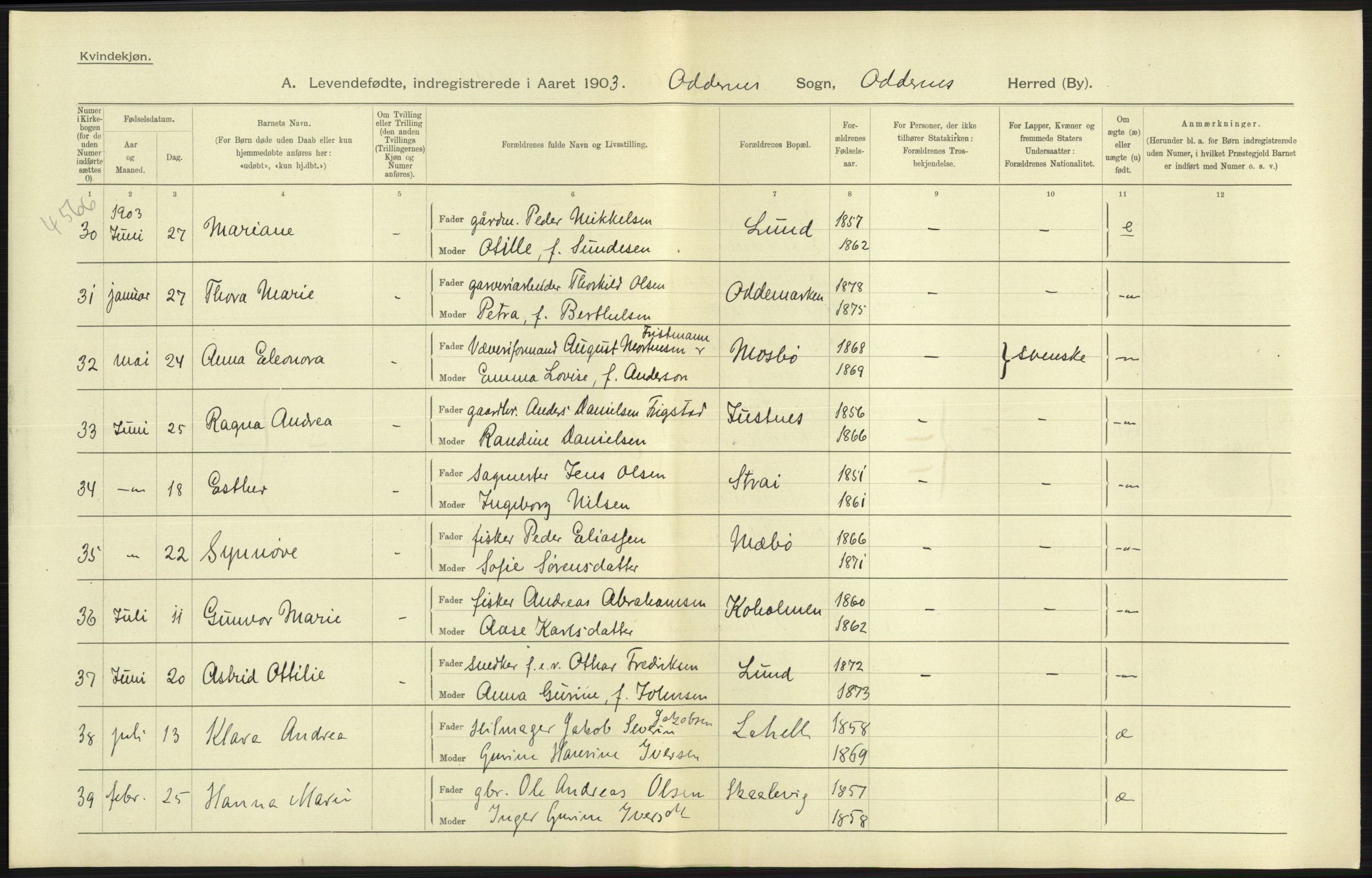 Statistisk sentralbyrå, Sosiodemografiske emner, Befolkning, AV/RA-S-2228/D/Df/Dfa/Dfaa/L0011: Lister og Mandal amt: Fødte, gifte, døde, 1903, p. 187