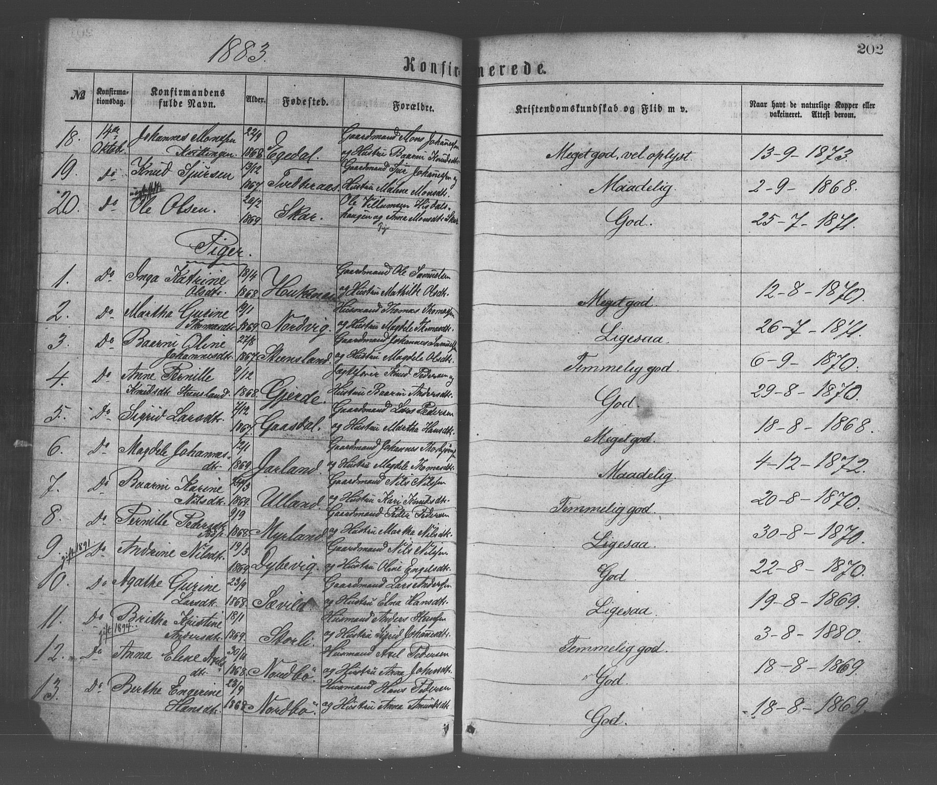 Os sokneprestembete, SAB/A-99929: Parish register (official) no. A 18, 1874-1884, p. 202