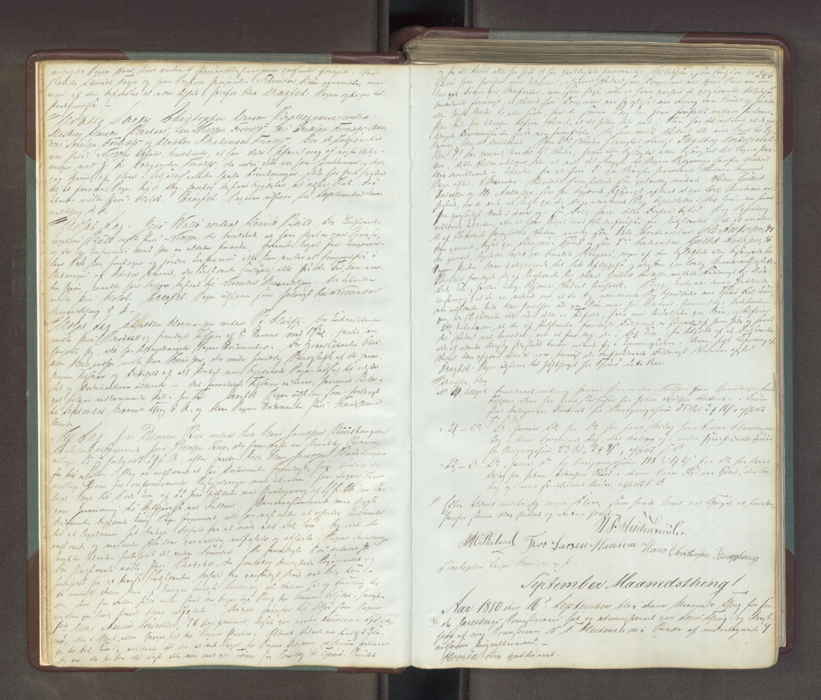 Søndre Jarlsberg sorenskriveri, AV/SAKO-A-129/F/Fa/L0034B: Tingbok, 1850-1856, p. 245b-246a