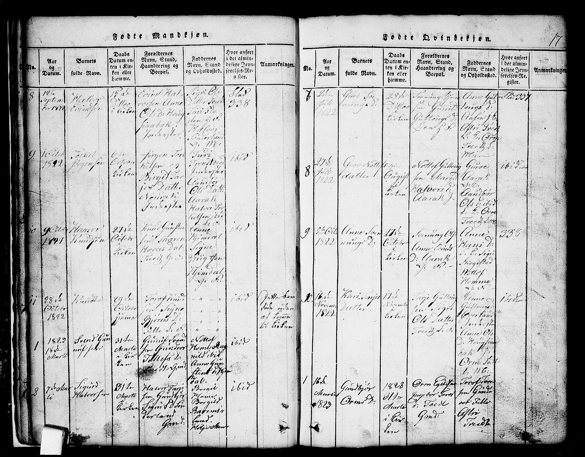 Nissedal kirkebøker, SAKO/A-288/G/Gb/L0001: Parish register (copy) no. II 1, 1814-1862, p. 17