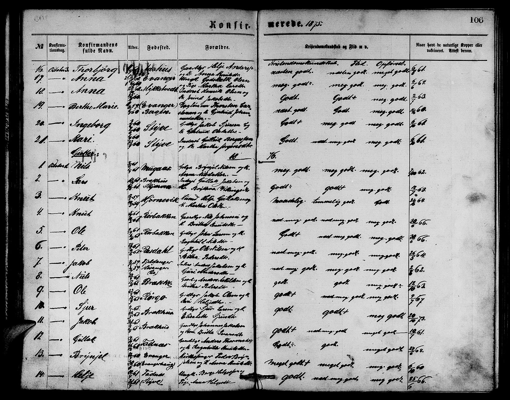Evanger sokneprestembete, SAB/A-99924: Parish register (copy) no. A 3, 1875-1887, p. 106