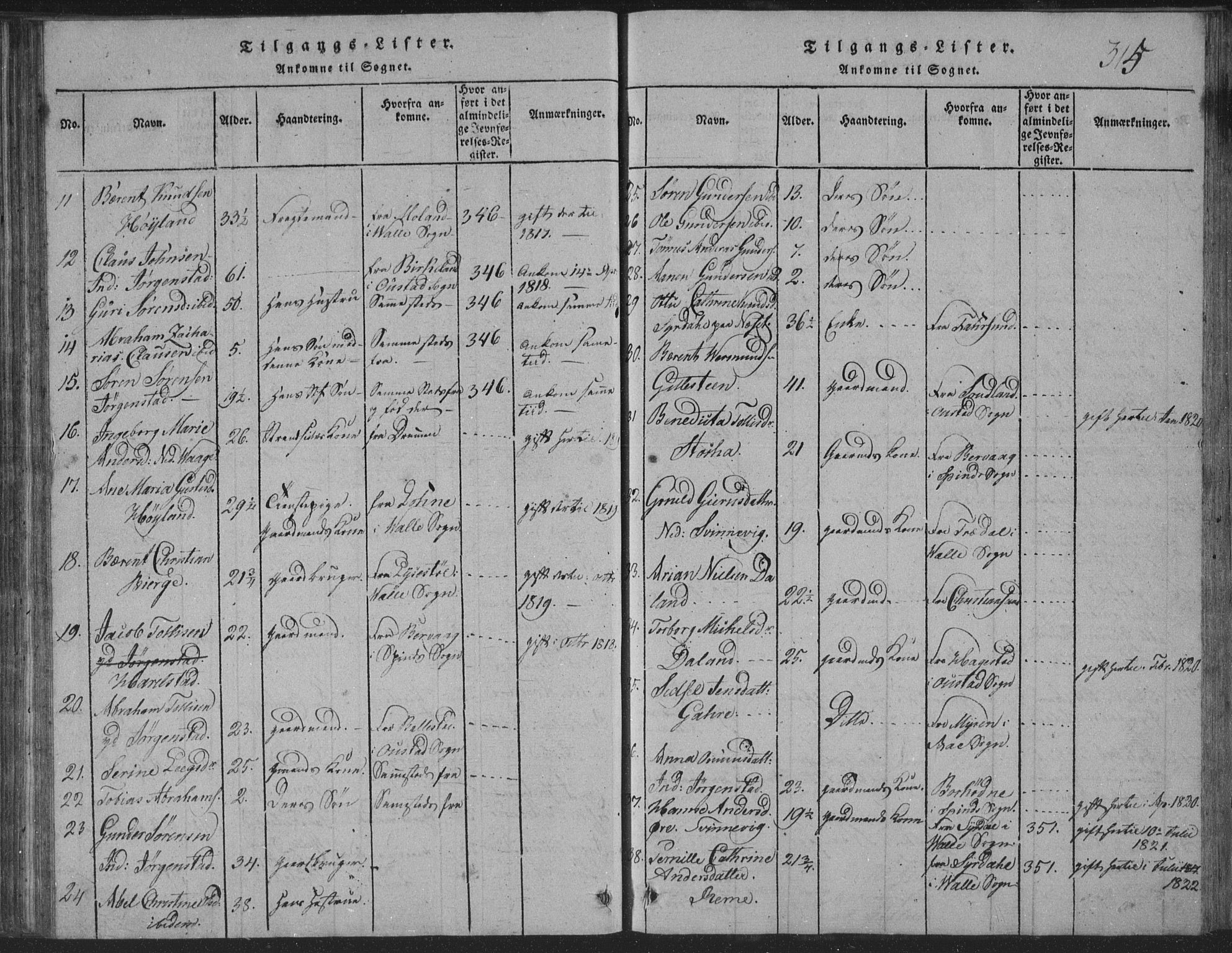 Sør-Audnedal sokneprestkontor, SAK/1111-0039/F/Fb/Fba/L0001: Parish register (copy) no. B 1, 1815-1850, p. 315