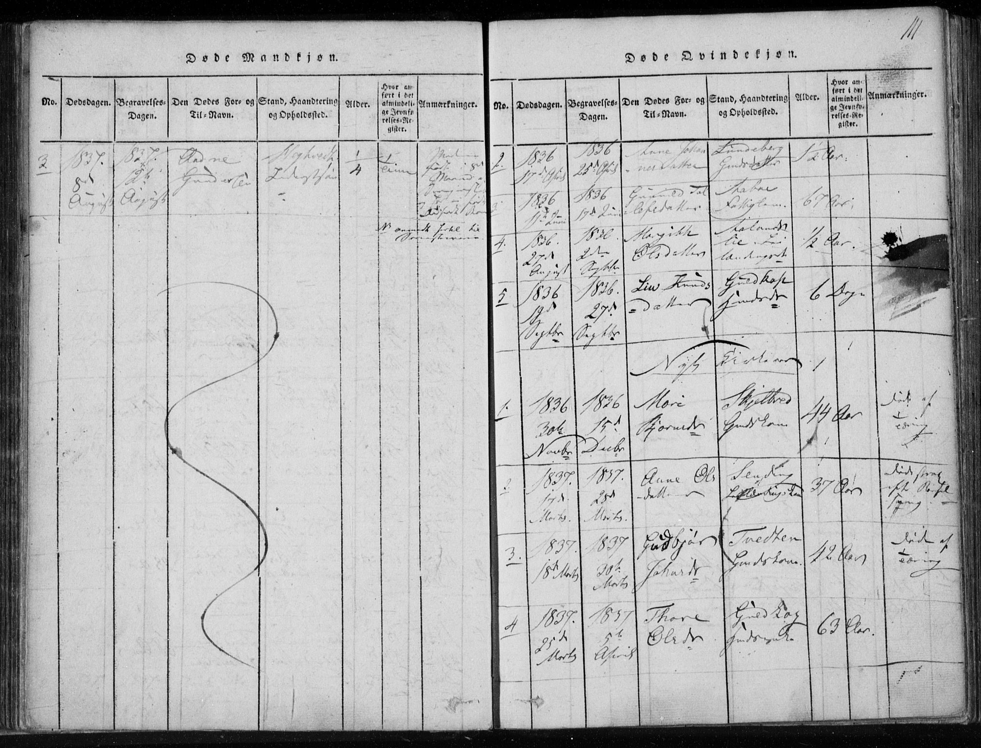 Lårdal kirkebøker, SAKO/A-284/F/Fa/L0005: Parish register (official) no. I 5, 1815-1860, p. 111