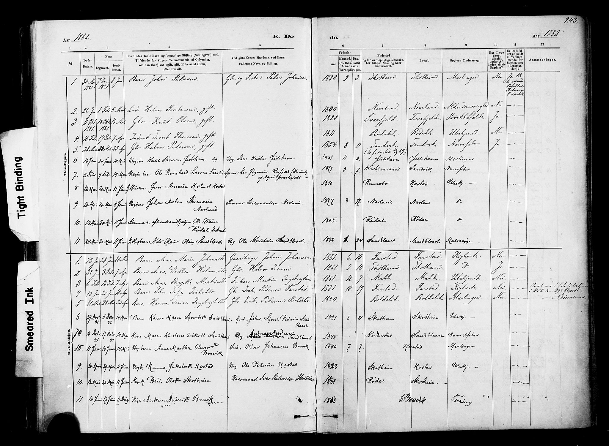 Ministerialprotokoller, klokkerbøker og fødselsregistre - Møre og Romsdal, SAT/A-1454/567/L0778: Parish register (official) no. 567A01, 1881-1903, p. 243