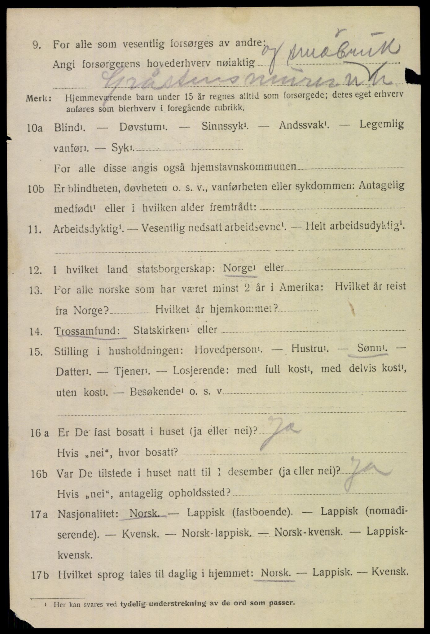 SAT, 1920 census for Bodin, 1920, p. 12285