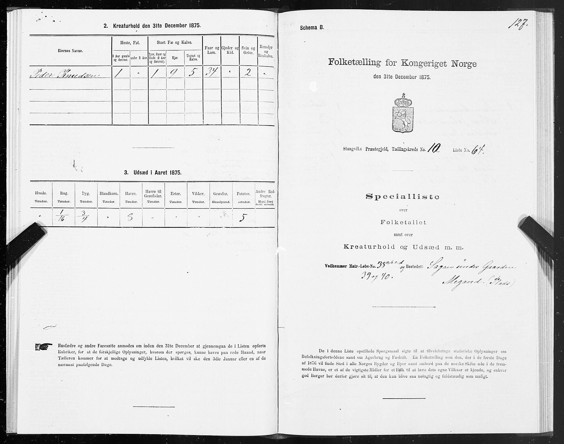 SAT, 1875 census for 1564P Stangvik, 1875, p. 5127