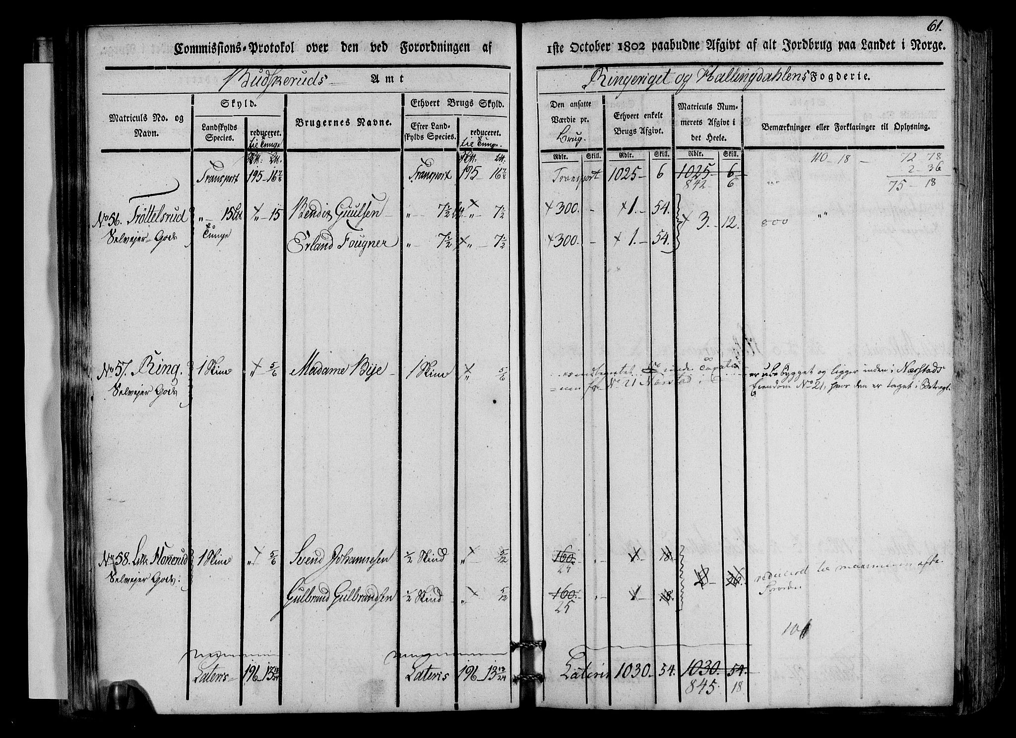 Rentekammeret inntil 1814, Realistisk ordnet avdeling, AV/RA-EA-4070/N/Ne/Nea/L0045: Ringerike og Hallingdal fogderi. Kommisjonsprotokoll for Norderhov prestegjeld, 1803, p. 64