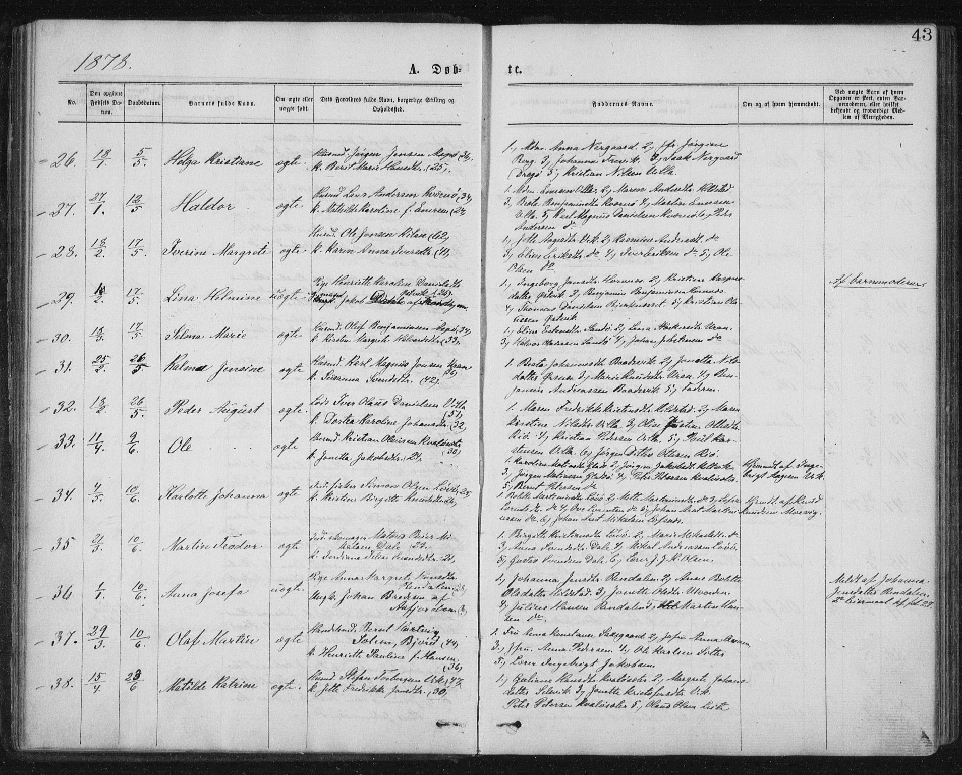 Ministerialprotokoller, klokkerbøker og fødselsregistre - Nord-Trøndelag, AV/SAT-A-1458/771/L0596: Parish register (official) no. 771A03, 1870-1884, p. 43