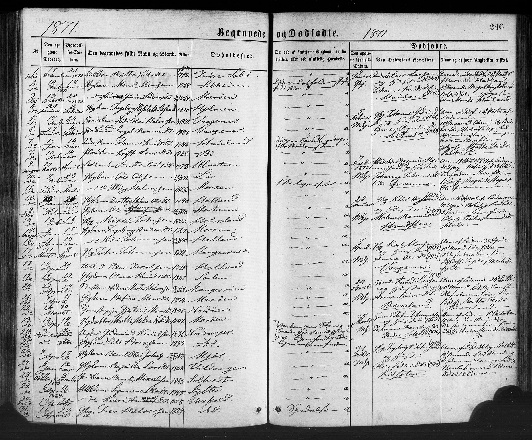 Manger sokneprestembete, SAB/A-76801/H/Haa: Parish register (official) no. A 8, 1871-1880, p. 246