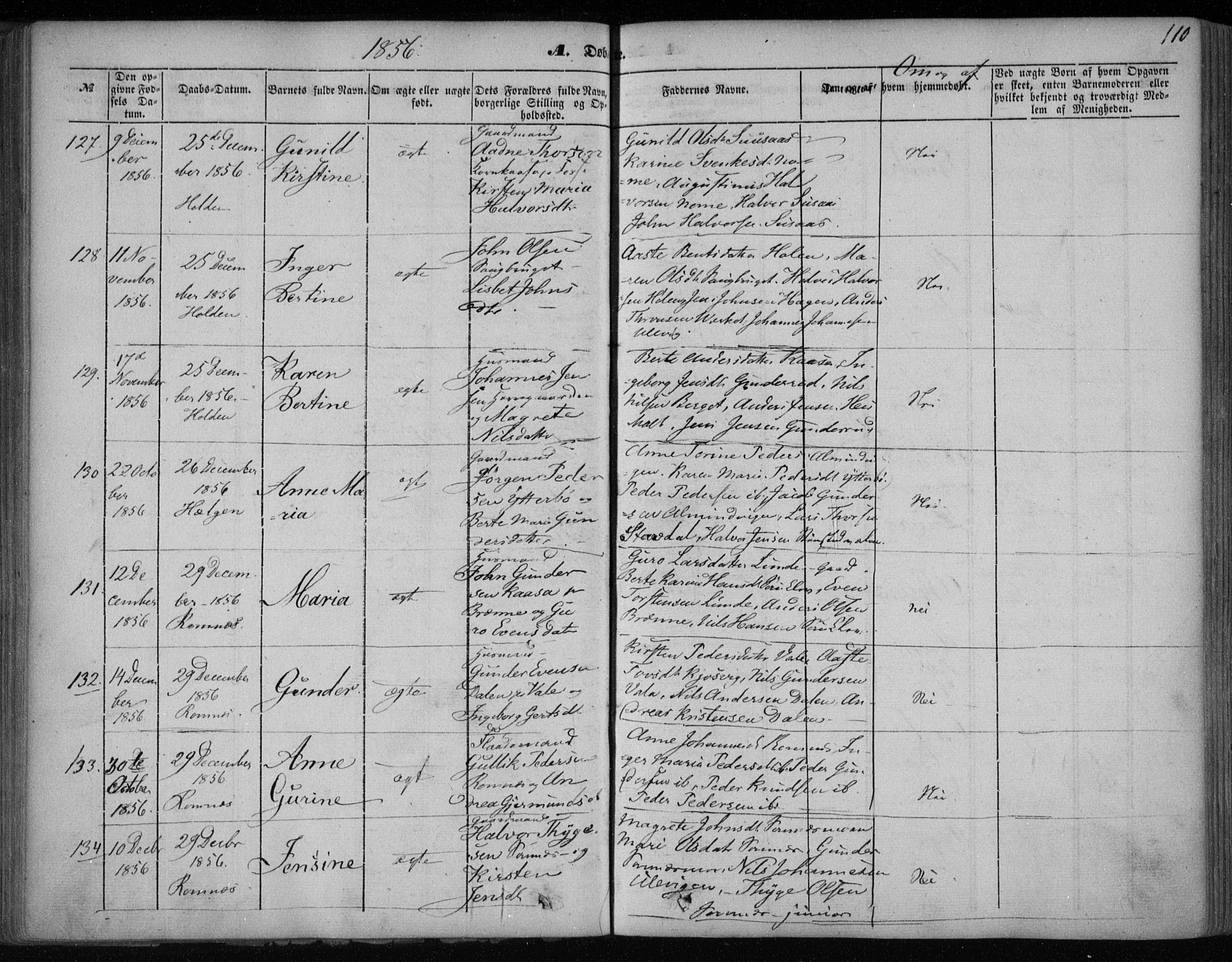 Holla kirkebøker, AV/SAKO-A-272/F/Fa/L0005: Parish register (official) no. 5, 1849-1860, p. 110