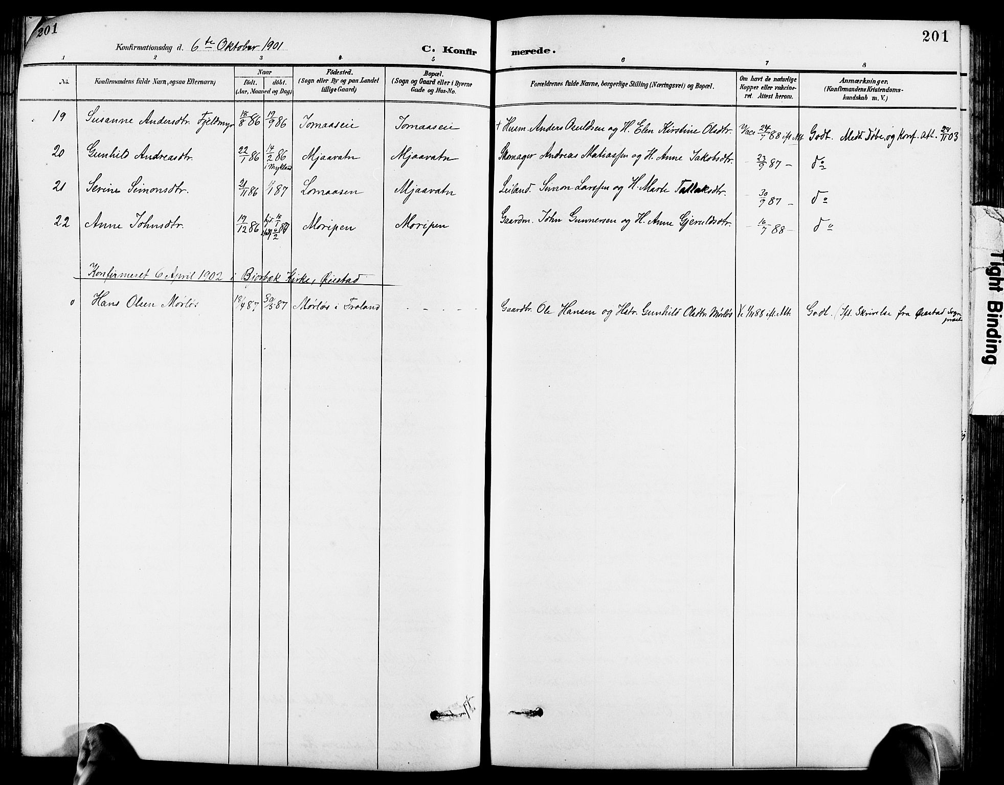 Froland sokneprestkontor, SAK/1111-0013/F/Fb/L0010: Parish register (copy) no. B 10, 1893-1920, p. 201