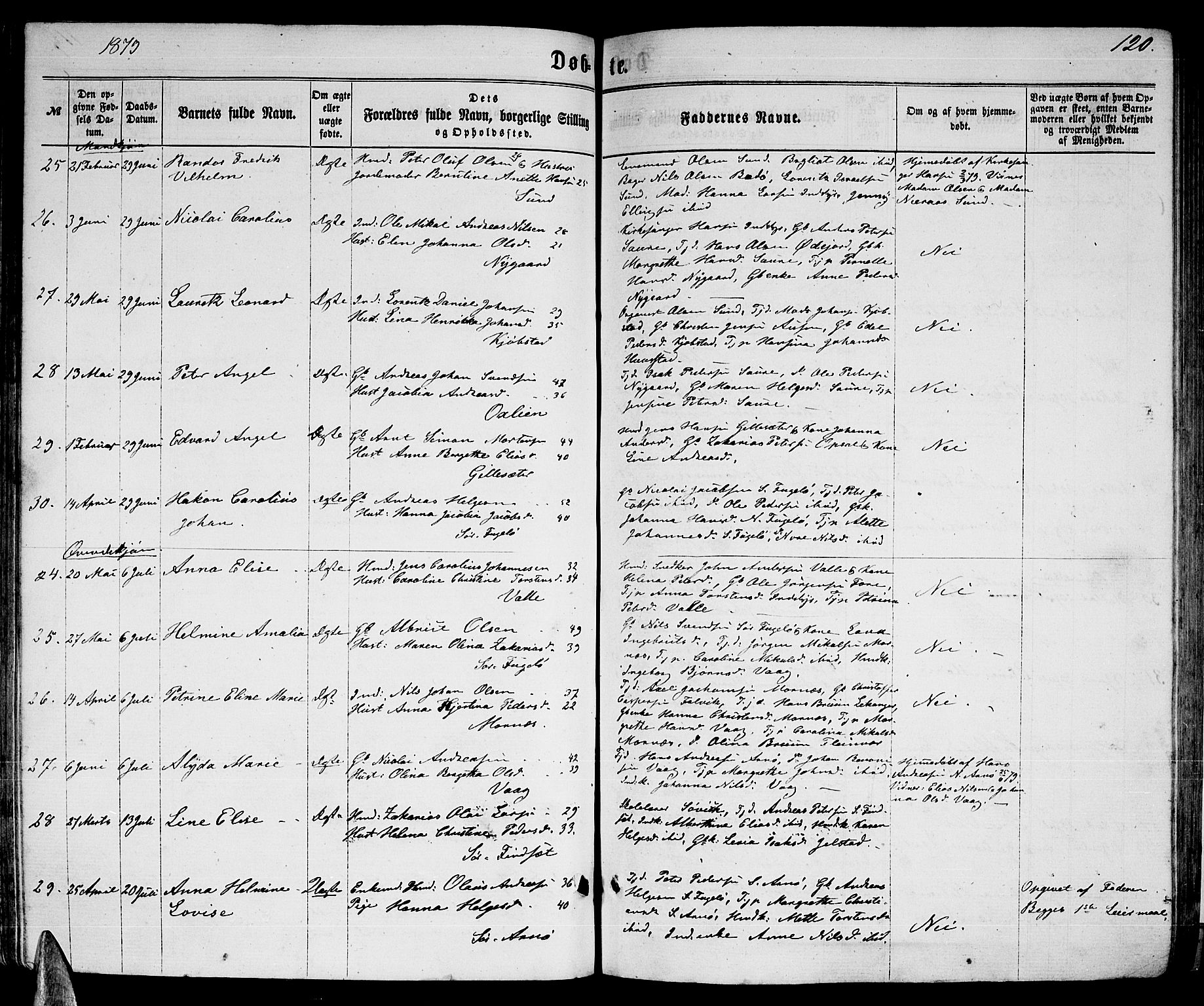 Ministerialprotokoller, klokkerbøker og fødselsregistre - Nordland, AV/SAT-A-1459/805/L0107: Parish register (copy) no. 805C03, 1862-1885, p. 120