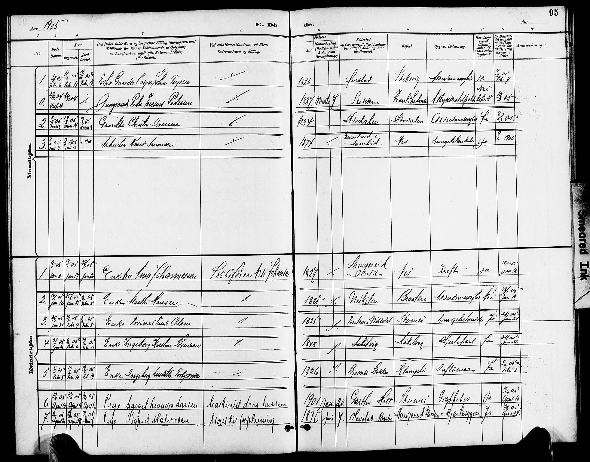 Austre Moland sokneprestkontor, SAK/1111-0001/F/Fb/Fbb/L0002: Parish register (copy) no. B 2, 1894-1918, p. 95