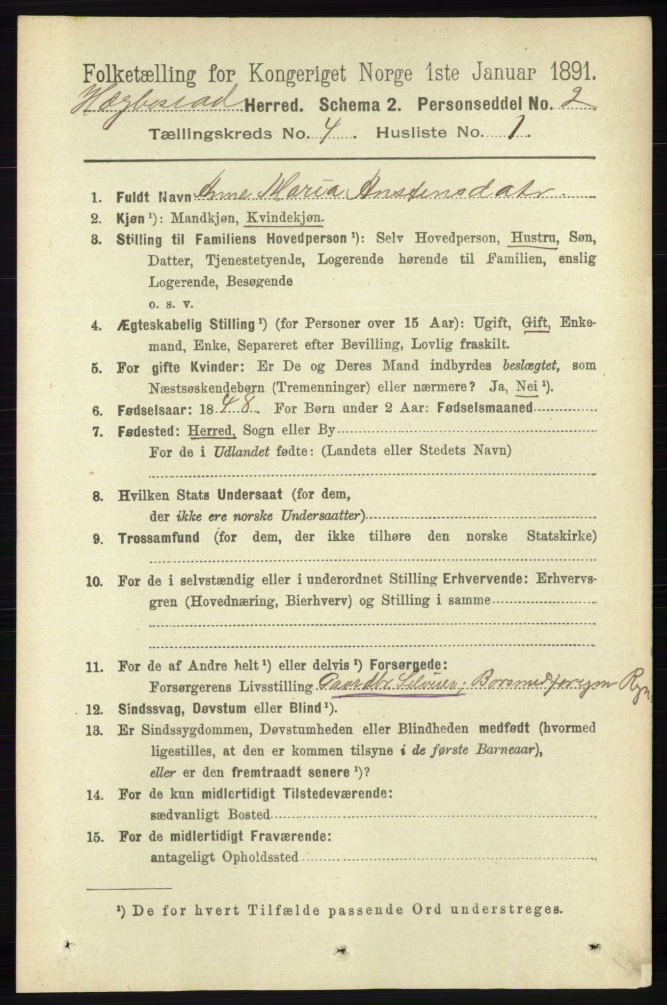 RA, 1891 census for 1034 Hægebostad, 1891, p. 1191