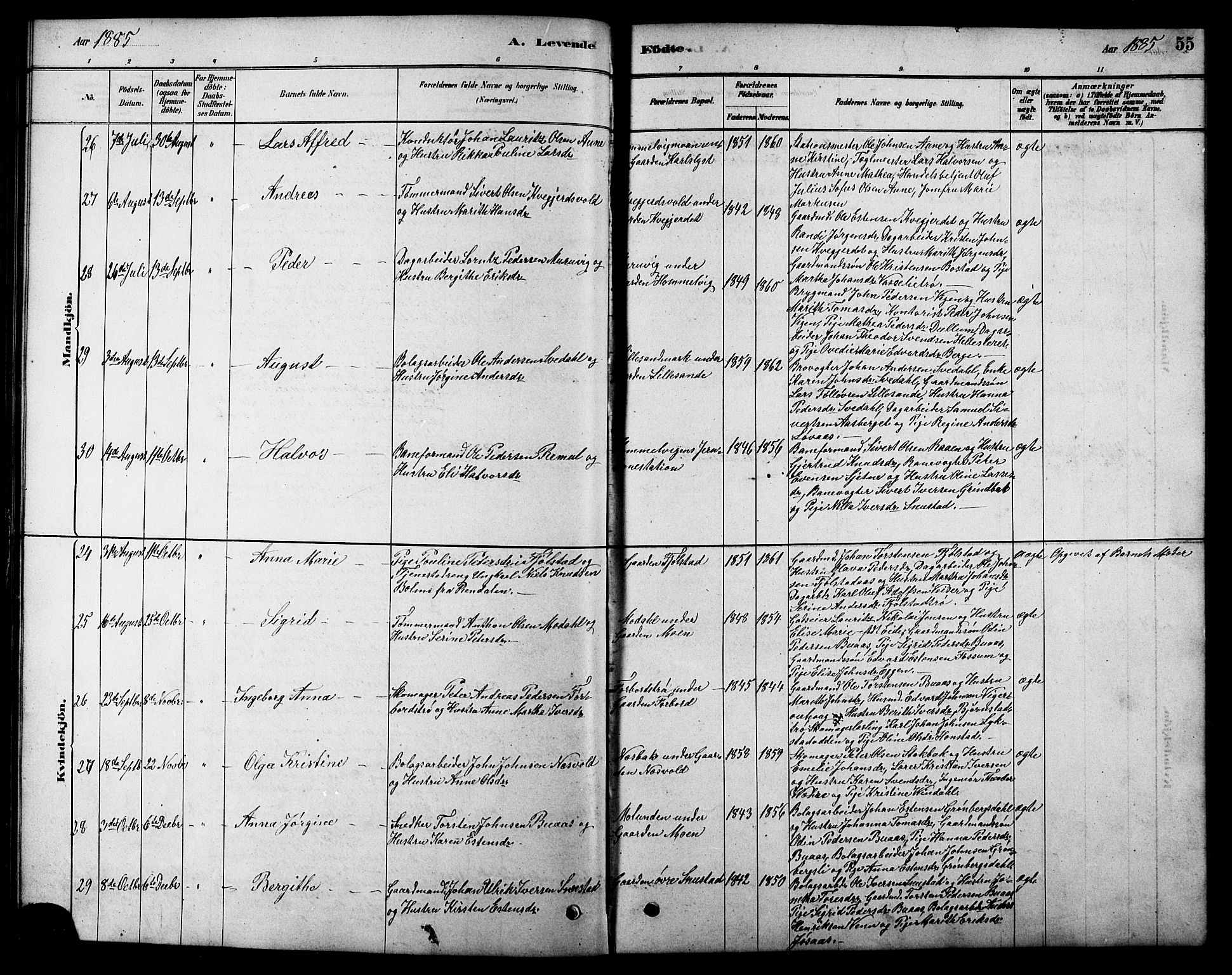 Ministerialprotokoller, klokkerbøker og fødselsregistre - Sør-Trøndelag, SAT/A-1456/616/L0423: Parish register (copy) no. 616C06, 1878-1903, p. 55