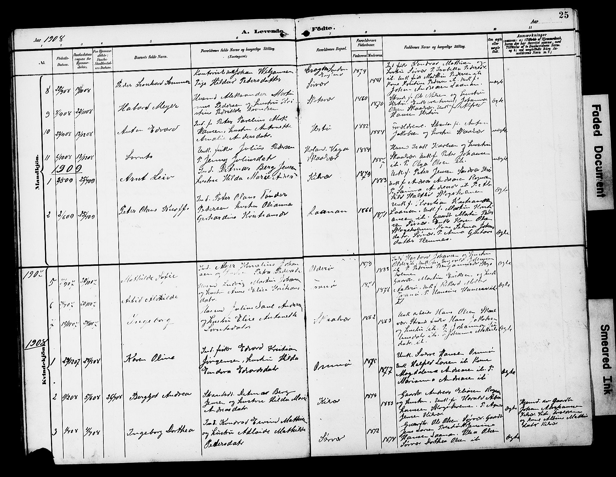 Ministerialprotokoller, klokkerbøker og fødselsregistre - Nordland, SAT/A-1459/818/L0273: Parish register (copy) no. 818C01, 1893-1928, p. 25