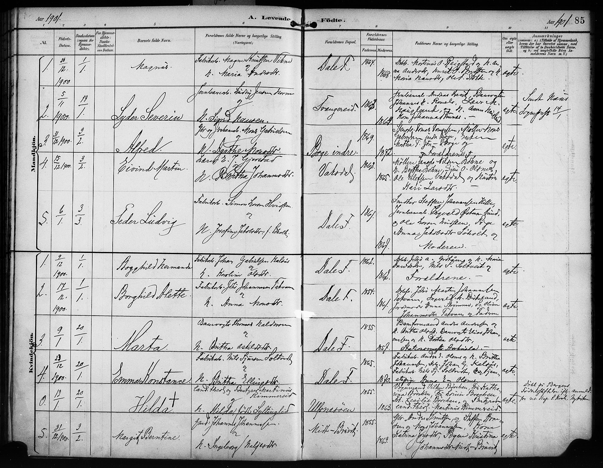 Bruvik Sokneprestembete, SAB/A-74701/H/Haa: Parish register (official) no. B 2, 1893-1903, p. 85
