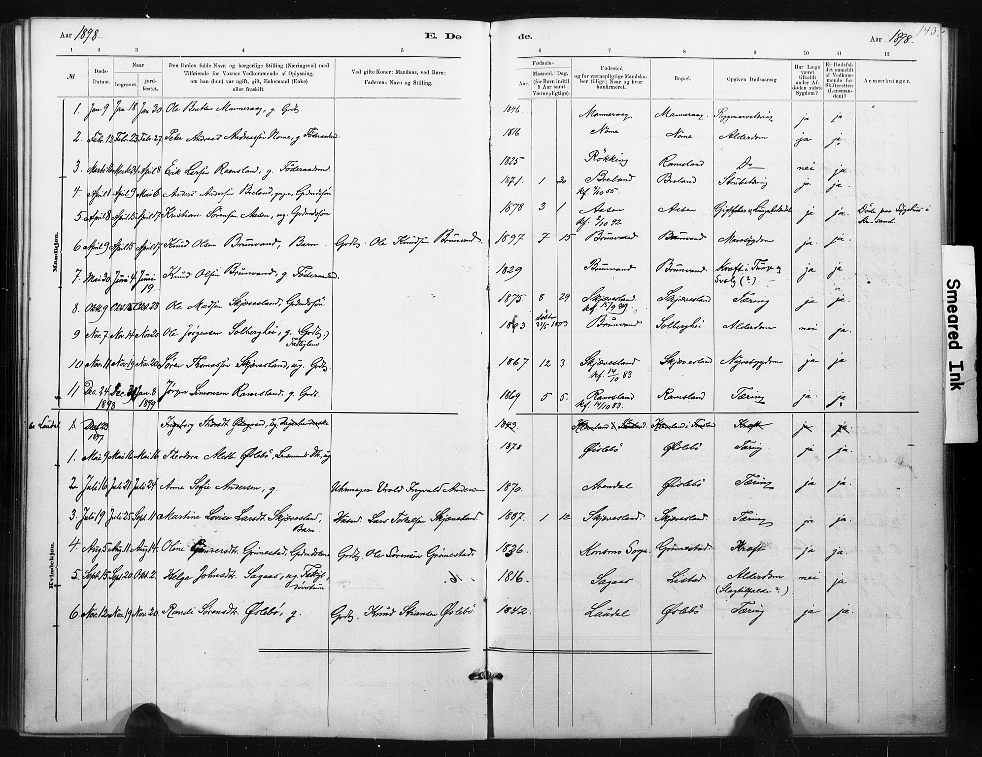 Holum sokneprestkontor, AV/SAK-1111-0022/F/Fa/Fac/L0004: Parish register (official) no. A 4, 1884-1907, p. 143