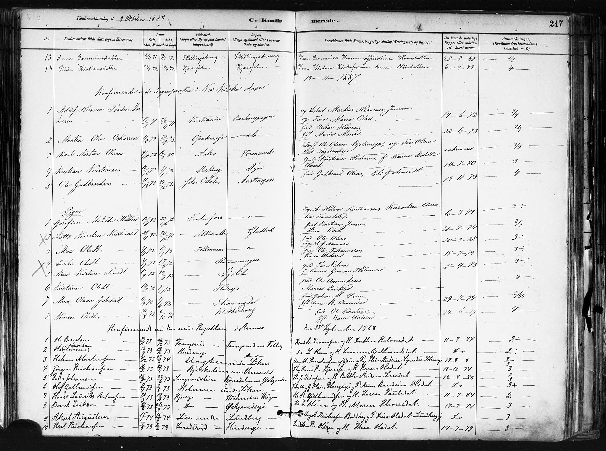 Nes prestekontor Kirkebøker, SAO/A-10410/F/Fa/L0010: Parish register (official) no. I 10, 1883-1898, p. 247