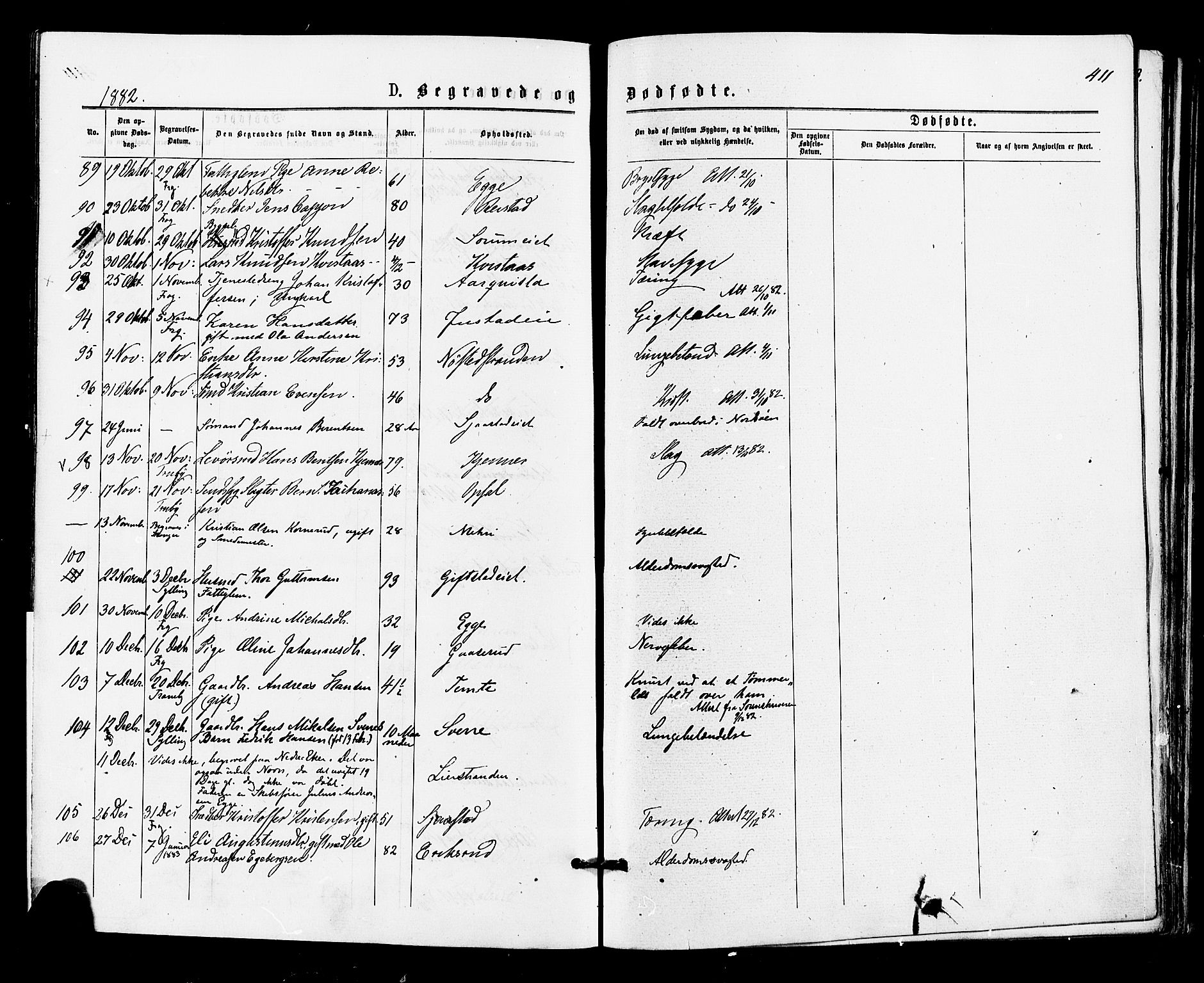 Lier kirkebøker, AV/SAKO-A-230/F/Fa/L0014: Parish register (official) no. I 14, 1875-1882, p. 411