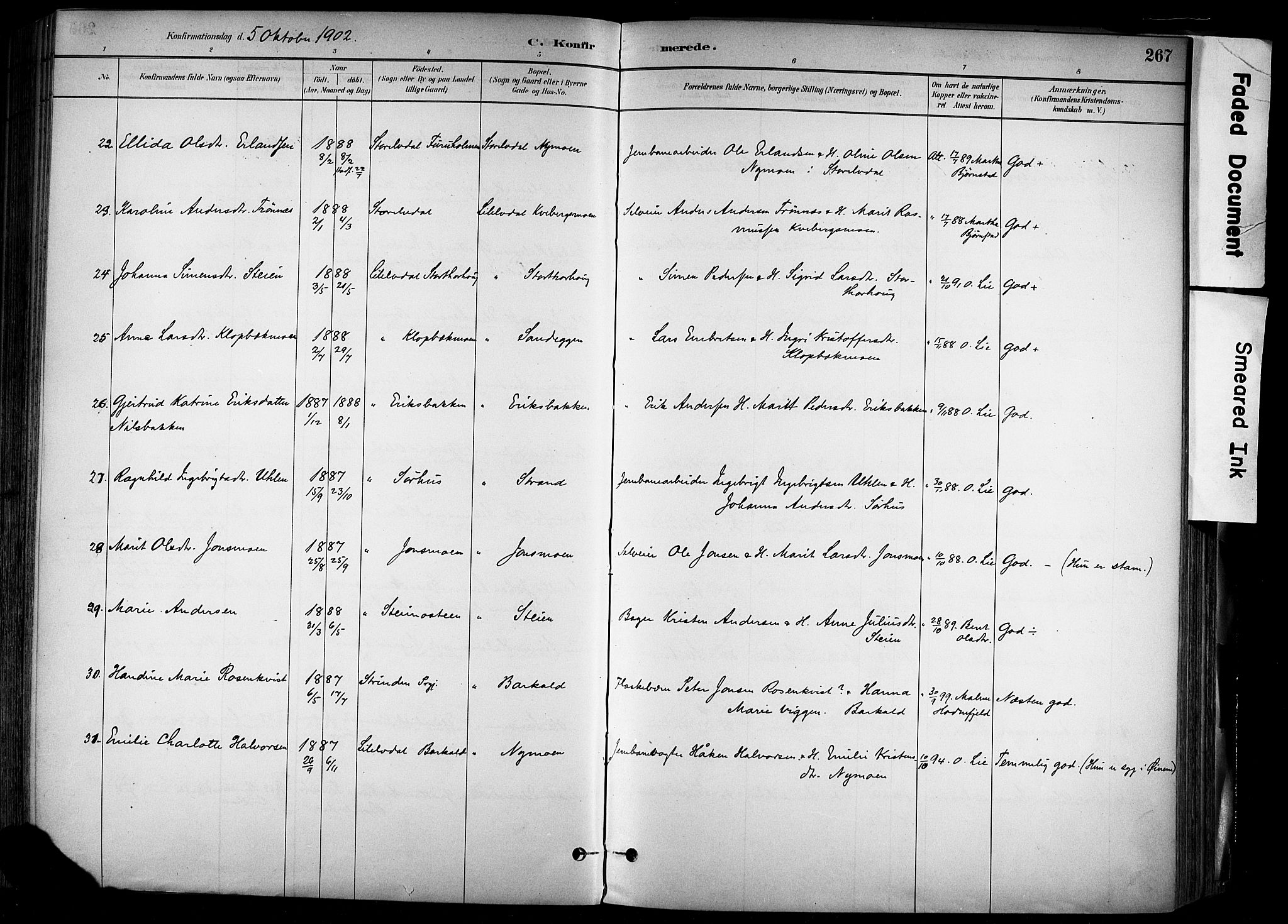 Alvdal prestekontor, AV/SAH-PREST-060/H/Ha/Haa/L0002: Parish register (official) no. 2, 1883-1906, p. 267