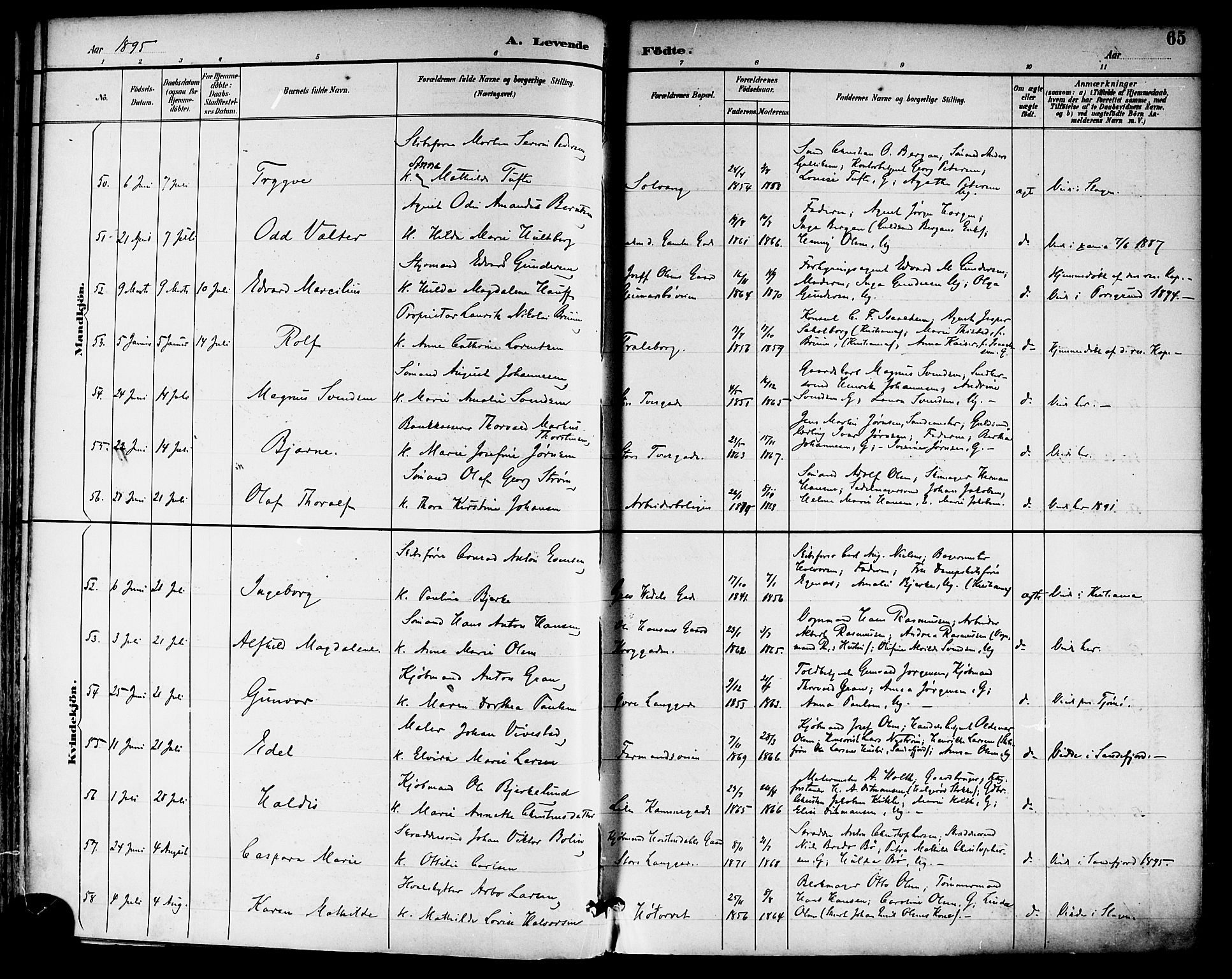 Tønsberg kirkebøker, SAKO/A-330/F/Fa/L0012: Parish register (official) no. I 12, 1891-1899, p. 65