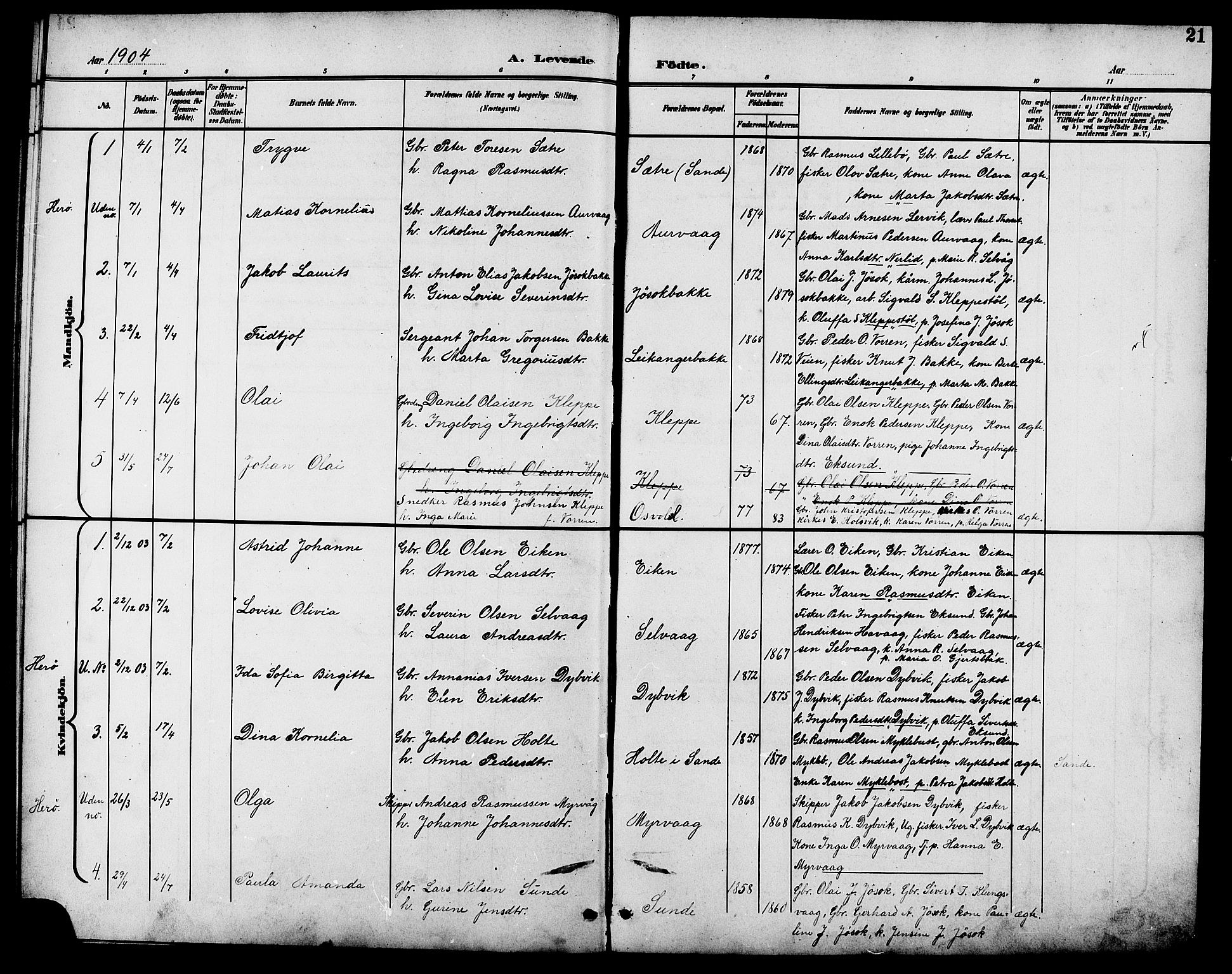 Ministerialprotokoller, klokkerbøker og fødselsregistre - Møre og Romsdal, AV/SAT-A-1454/508/L0098: Parish register (copy) no. 508C02, 1898-1916, p. 21