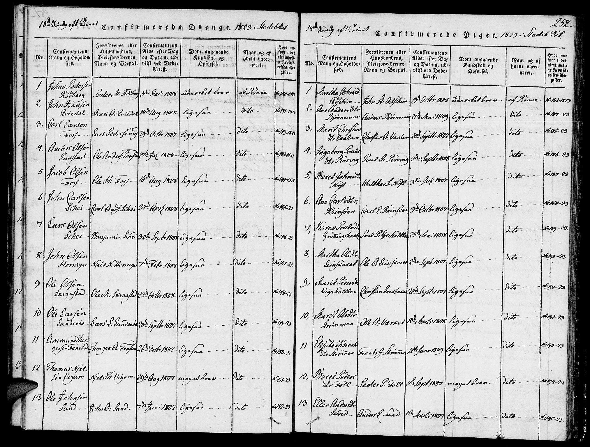 Ministerialprotokoller, klokkerbøker og fødselsregistre - Sør-Trøndelag, SAT/A-1456/646/L0608: Parish register (official) no. 646A06, 1816-1825, p. 252