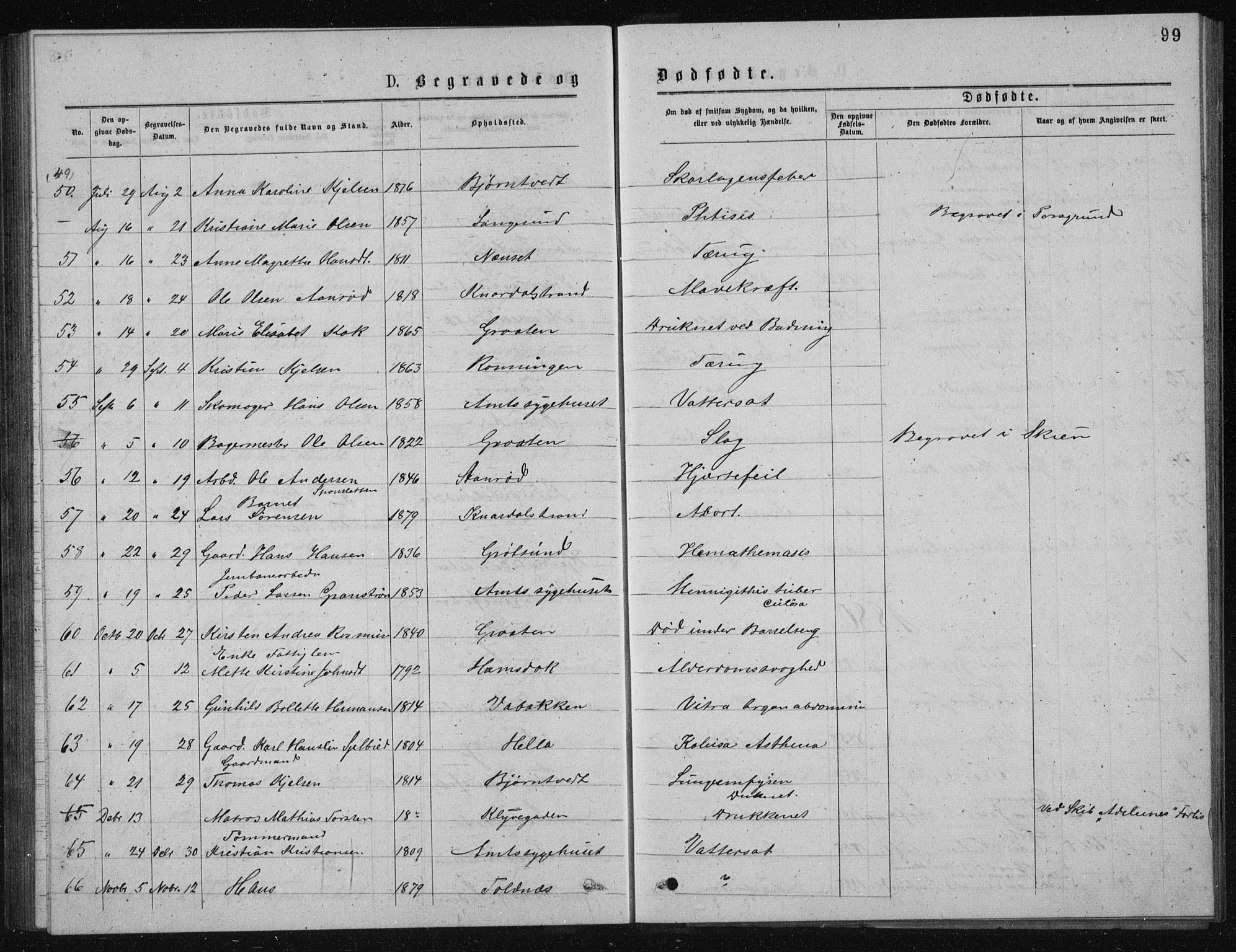 Solum kirkebøker, SAKO/A-306/G/Ga/L0005: Parish register (copy) no. I 5, 1877-1881, p. 99