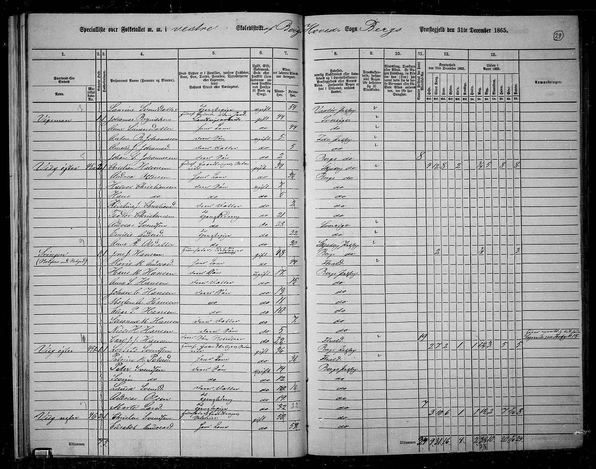 RA, 1865 census for Berg, 1865, p. 29