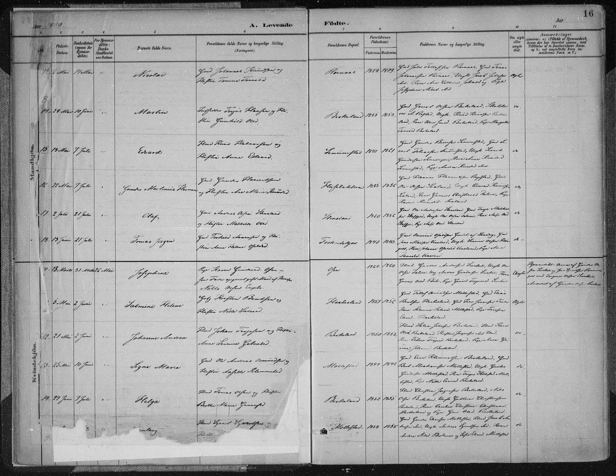 Birkenes sokneprestkontor, AV/SAK-1111-0004/F/Fa/L0005: Parish register (official) no. A 5, 1887-1907, p. 16