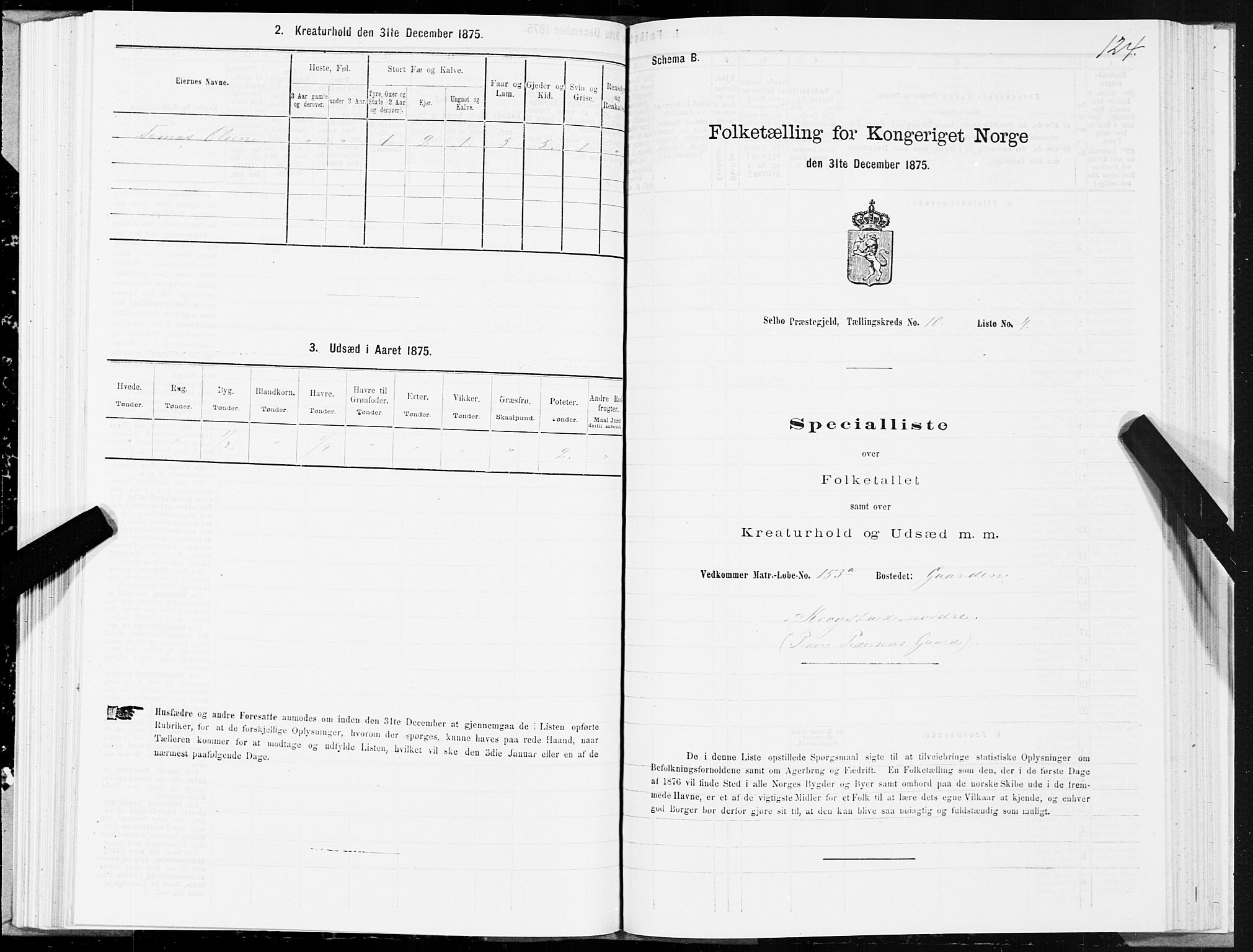 SAT, 1875 census for 1664P Selbu, 1875, p. 5124