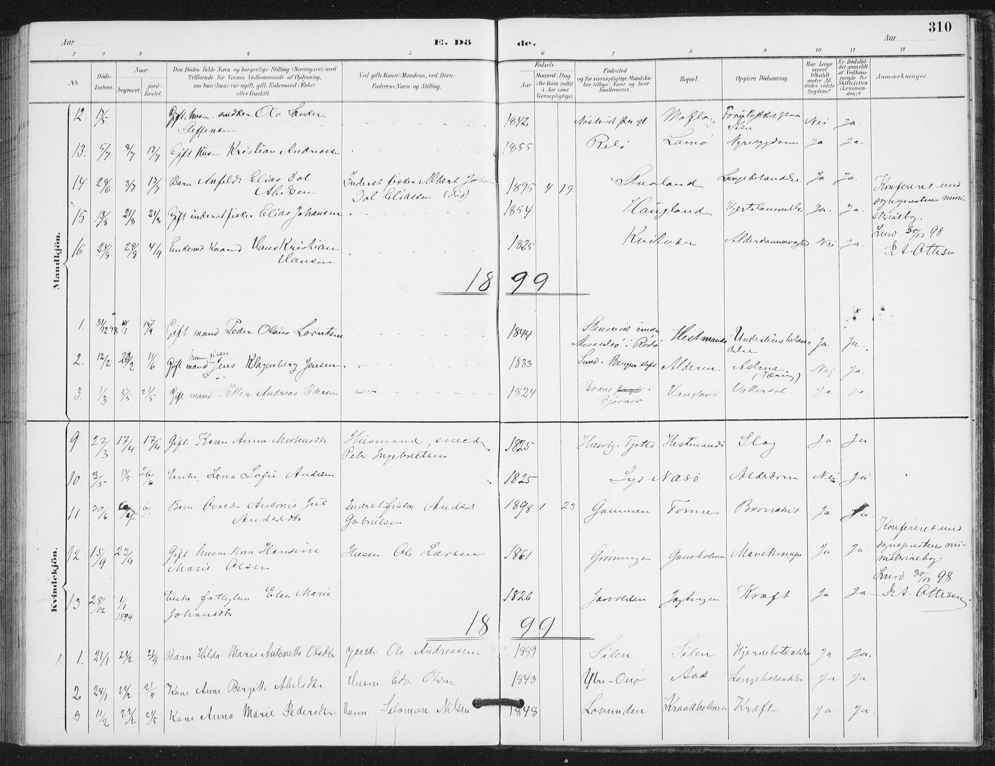 Ministerialprotokoller, klokkerbøker og fødselsregistre - Nordland, SAT/A-1459/839/L0573: Parish register (copy) no. 839C03, 1892-1917, p. 310