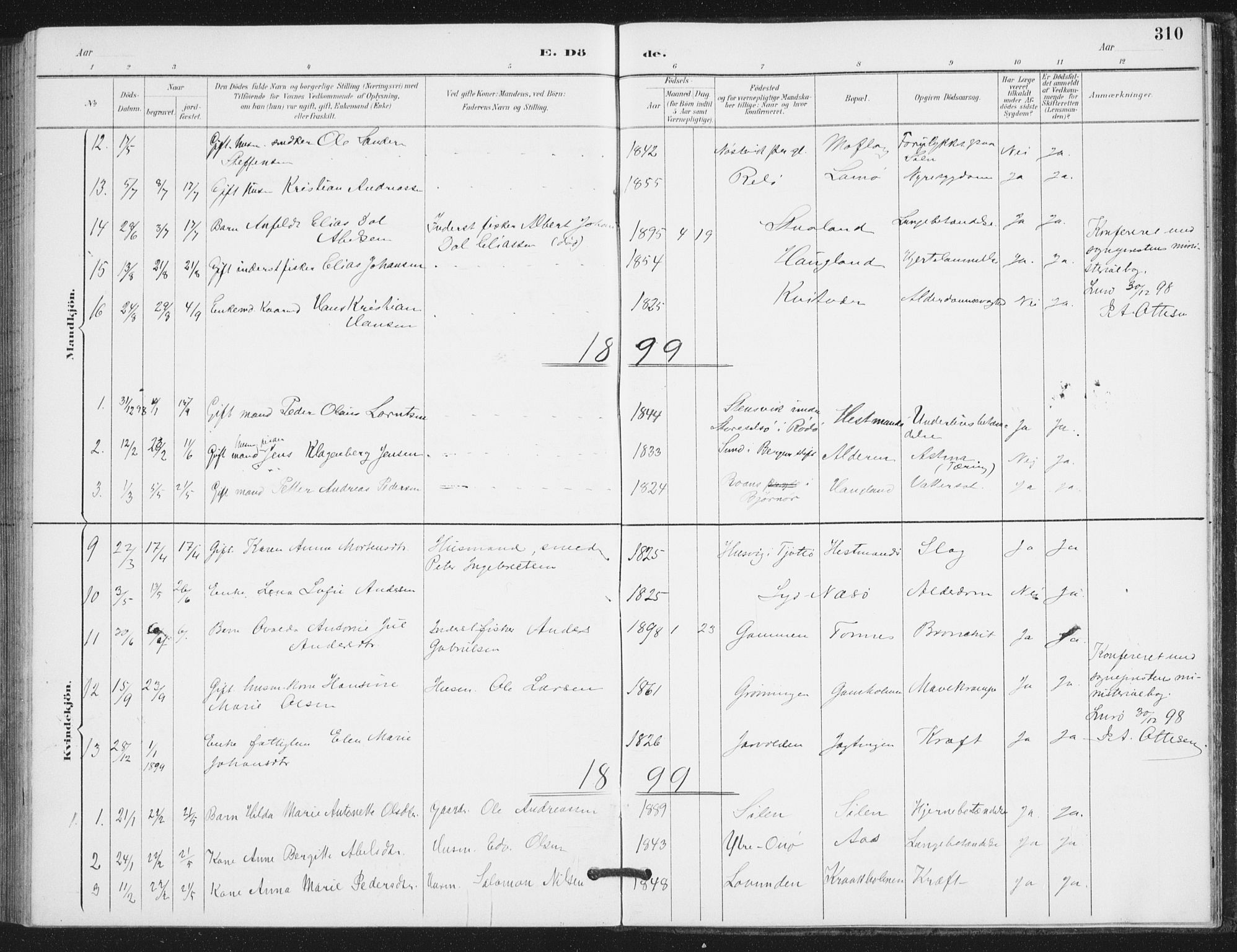 Ministerialprotokoller, klokkerbøker og fødselsregistre - Nordland, AV/SAT-A-1459/839/L0573: Parish register (copy) no. 839C03, 1892-1917, p. 310