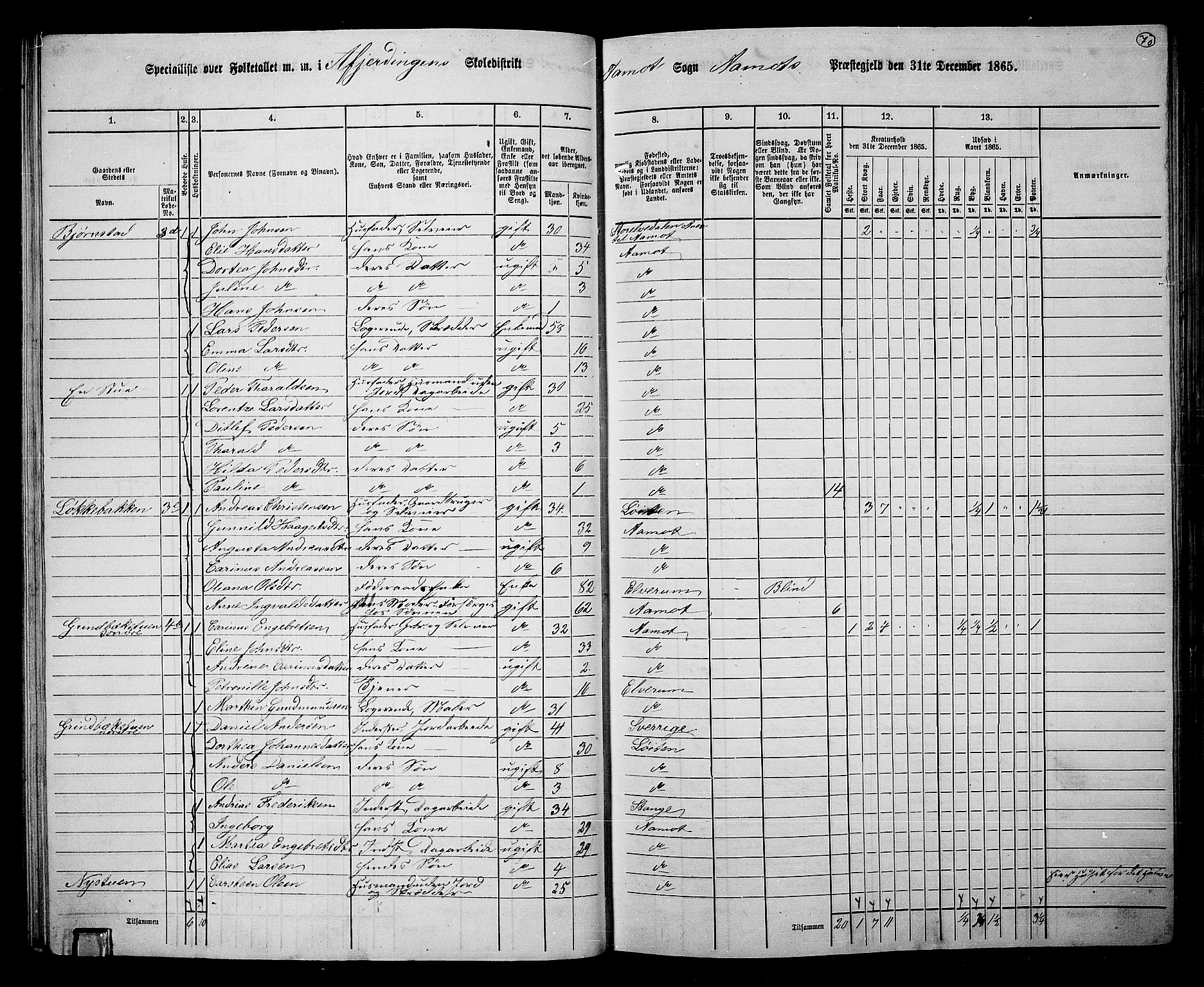 RA, 1865 census for Åmot, 1865, p. 65