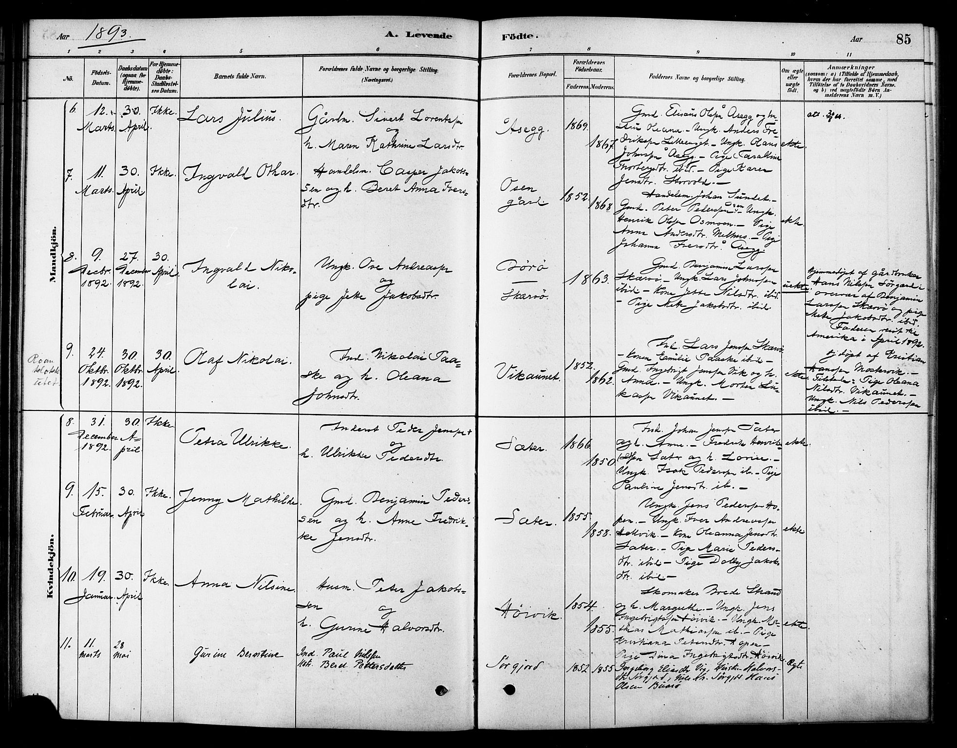 Ministerialprotokoller, klokkerbøker og fødselsregistre - Sør-Trøndelag, SAT/A-1456/658/L0722: Parish register (official) no. 658A01, 1879-1896, p. 85