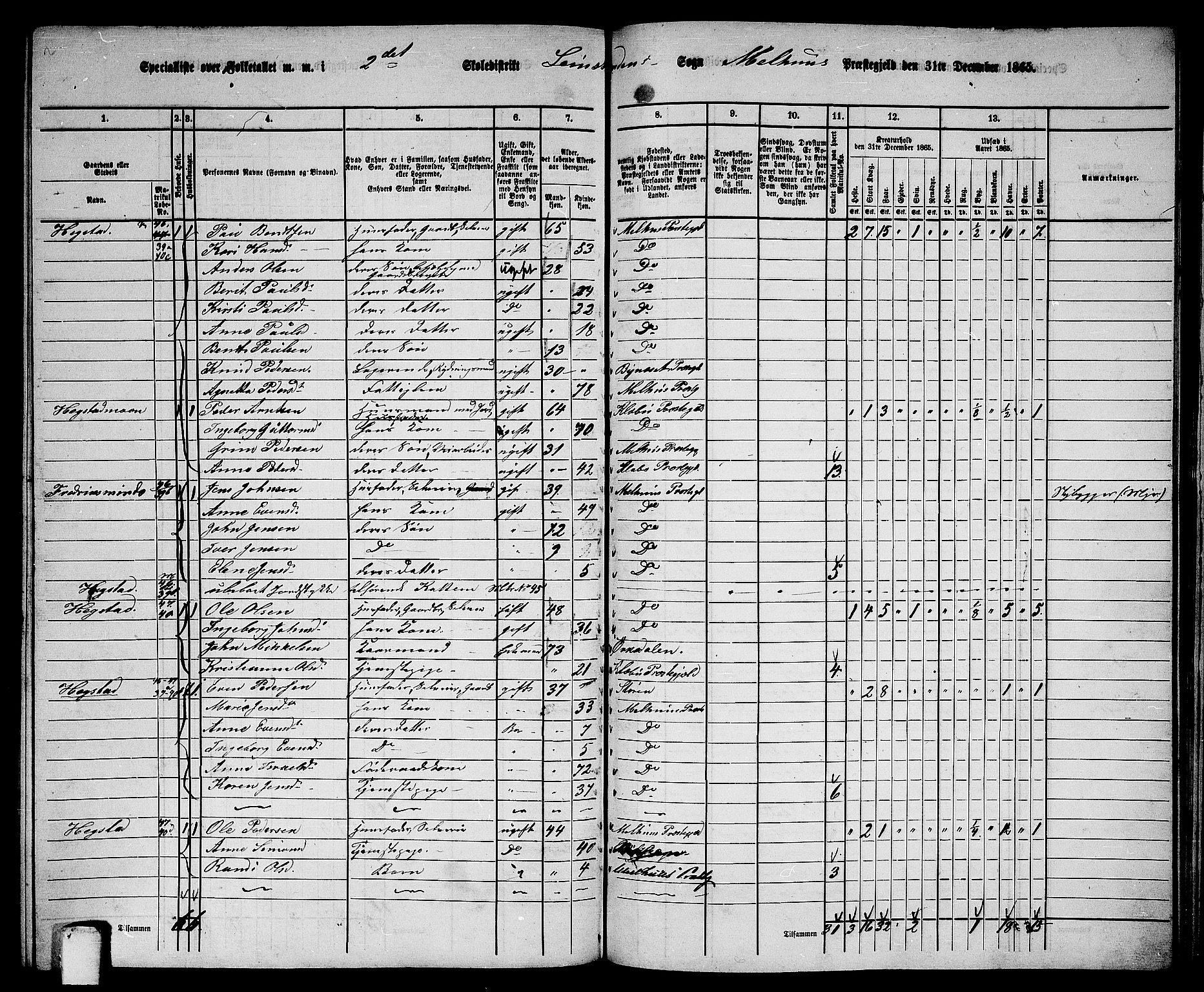 RA, 1865 census for Melhus, 1865, p. 218