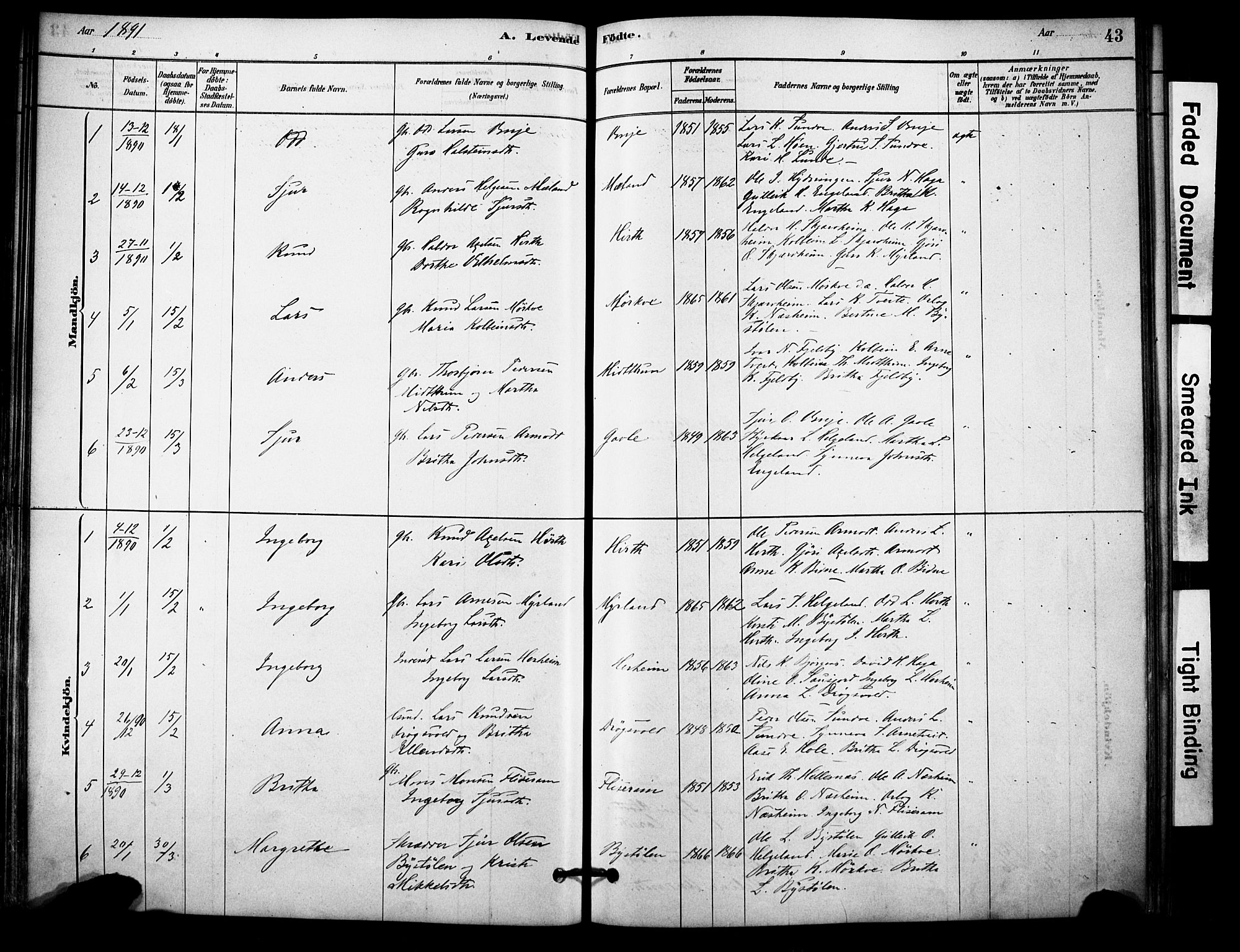 Vossestrand Sokneprestembete, AV/SAB-A-79101/H/Haa: Parish register (official) no. C 1, 1878-1903, p. 43