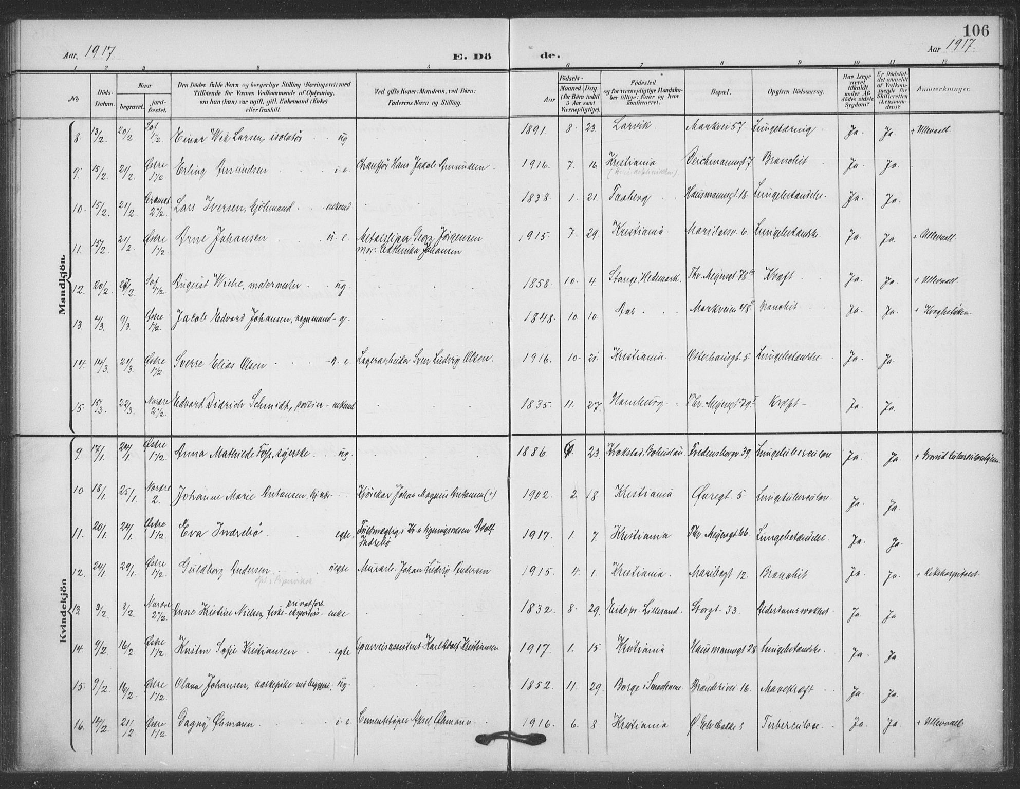 Jakob prestekontor Kirkebøker, SAO/A-10850/F/Fa/L0011: Parish register (official) no. 11, 1906-1920, p. 106