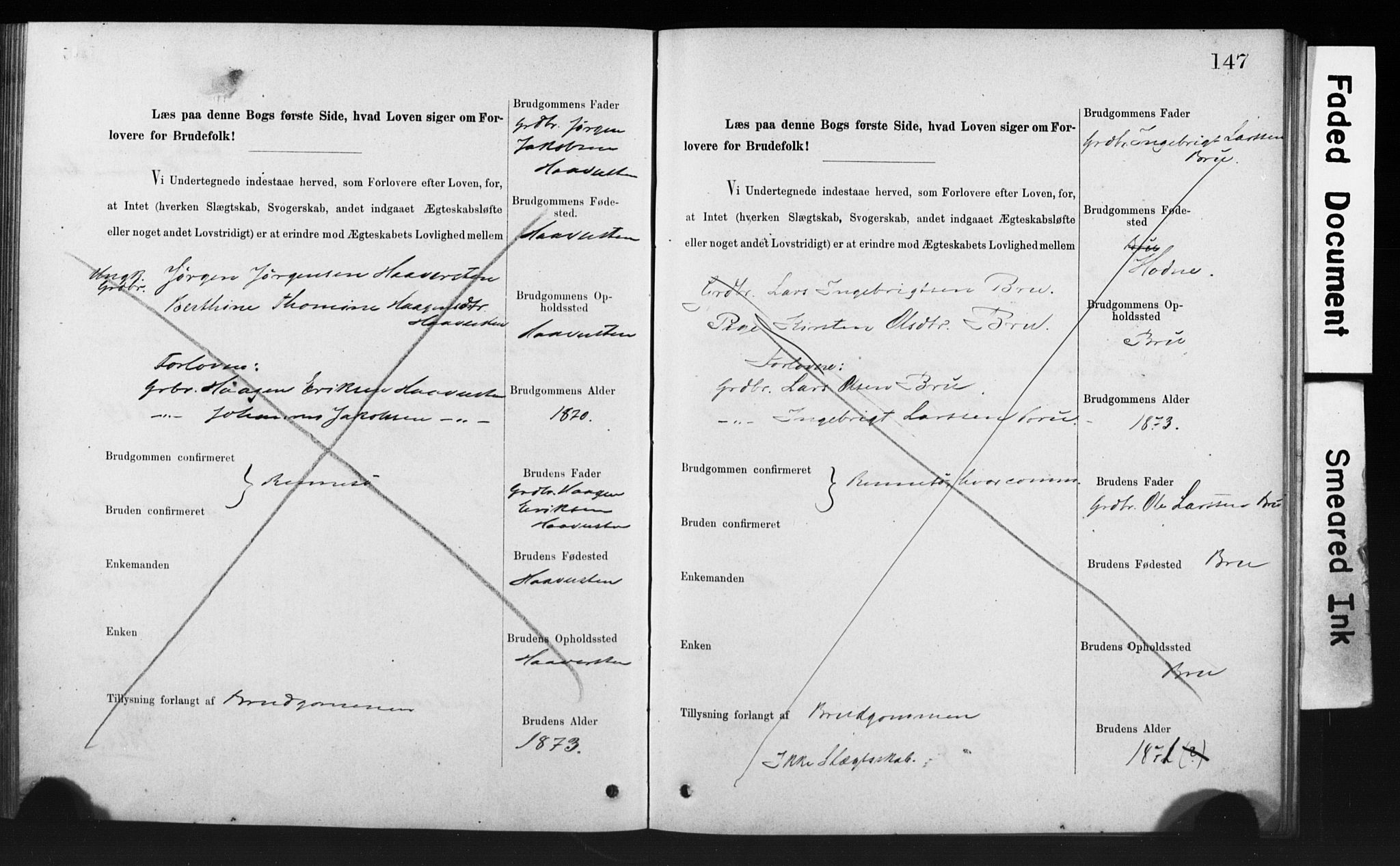 Rennesøy sokneprestkontor, AV/SAST-A -101827/I/Ie/L0001: Banns register no. 1, 1873-1898, p. 147