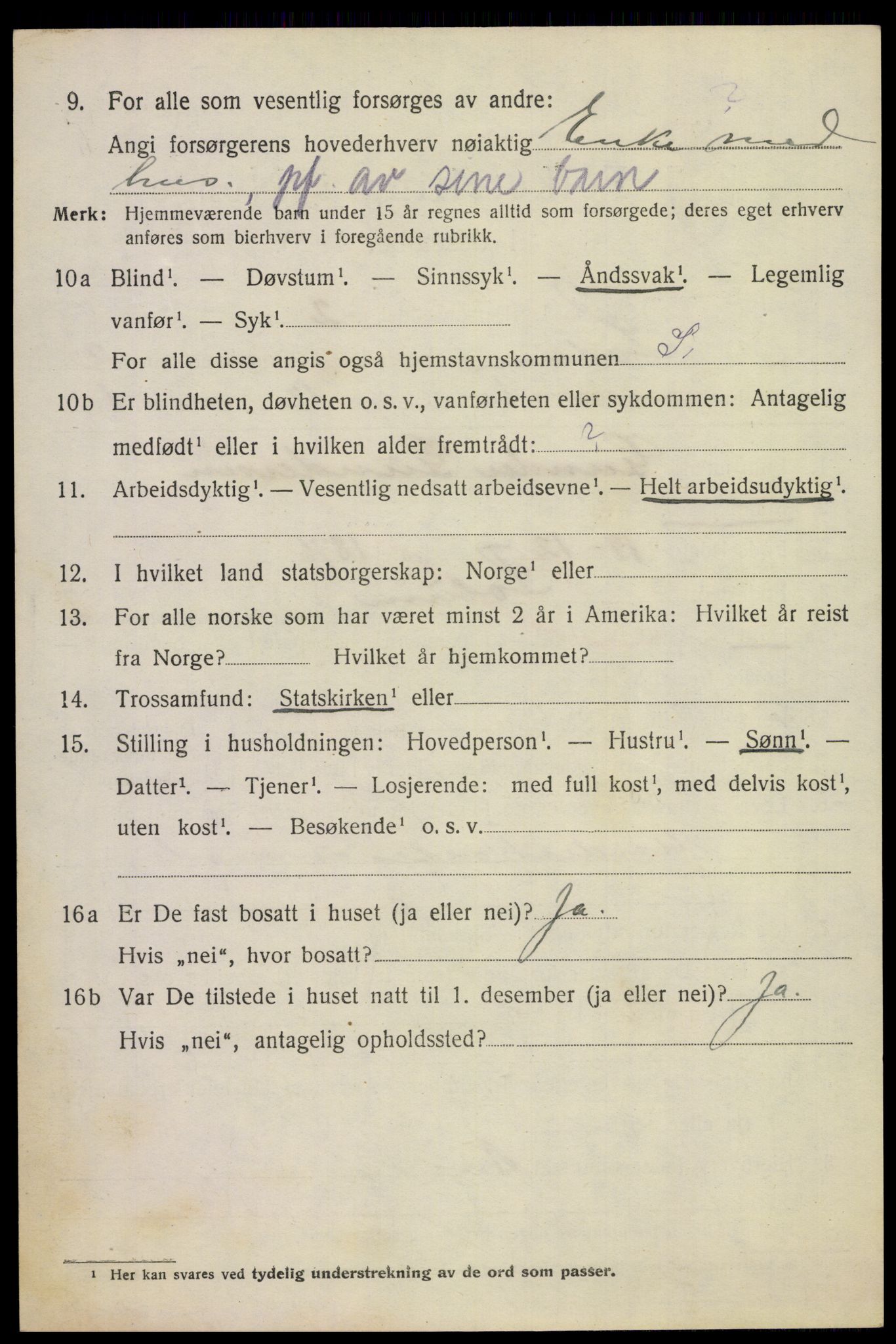 SAKO, 1920 census for Solum, 1920, p. 6995