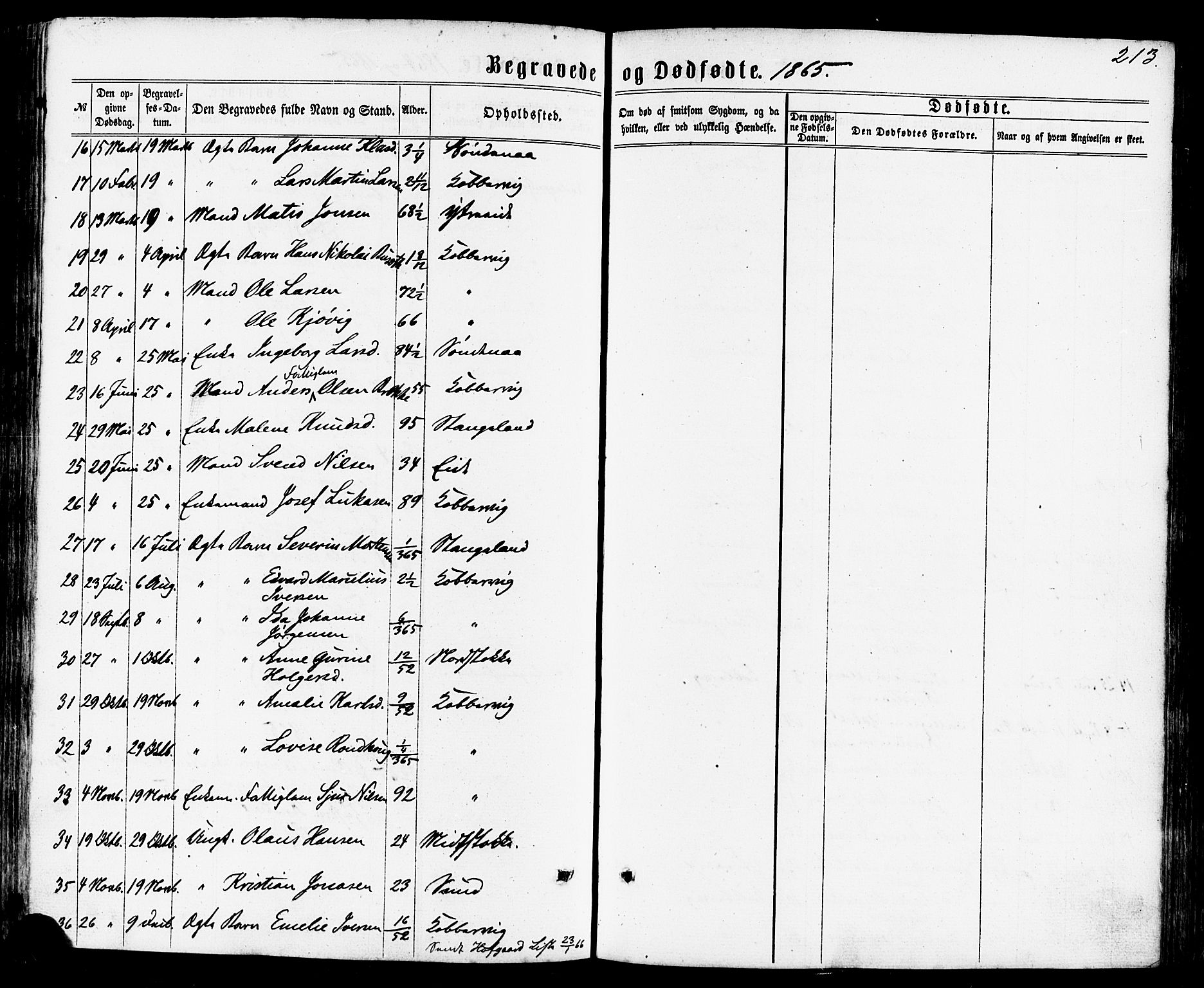 Avaldsnes sokneprestkontor, AV/SAST-A -101851/H/Ha/Haa/L0011: Parish register (official) no. A 11, 1861-1880, p. 213