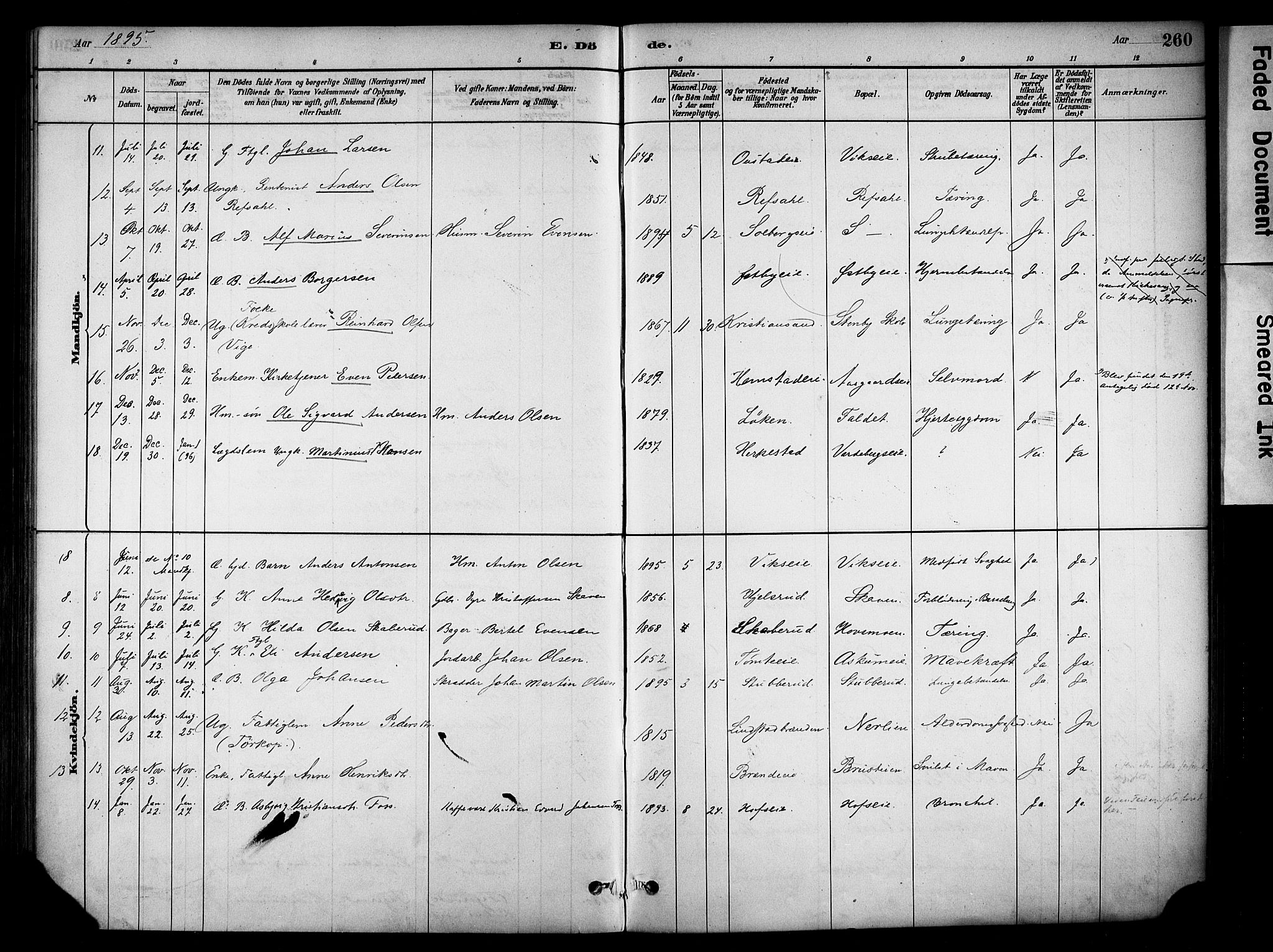 Stange prestekontor, AV/SAH-PREST-002/K/L0018: Parish register (official) no. 18, 1880-1896, p. 260